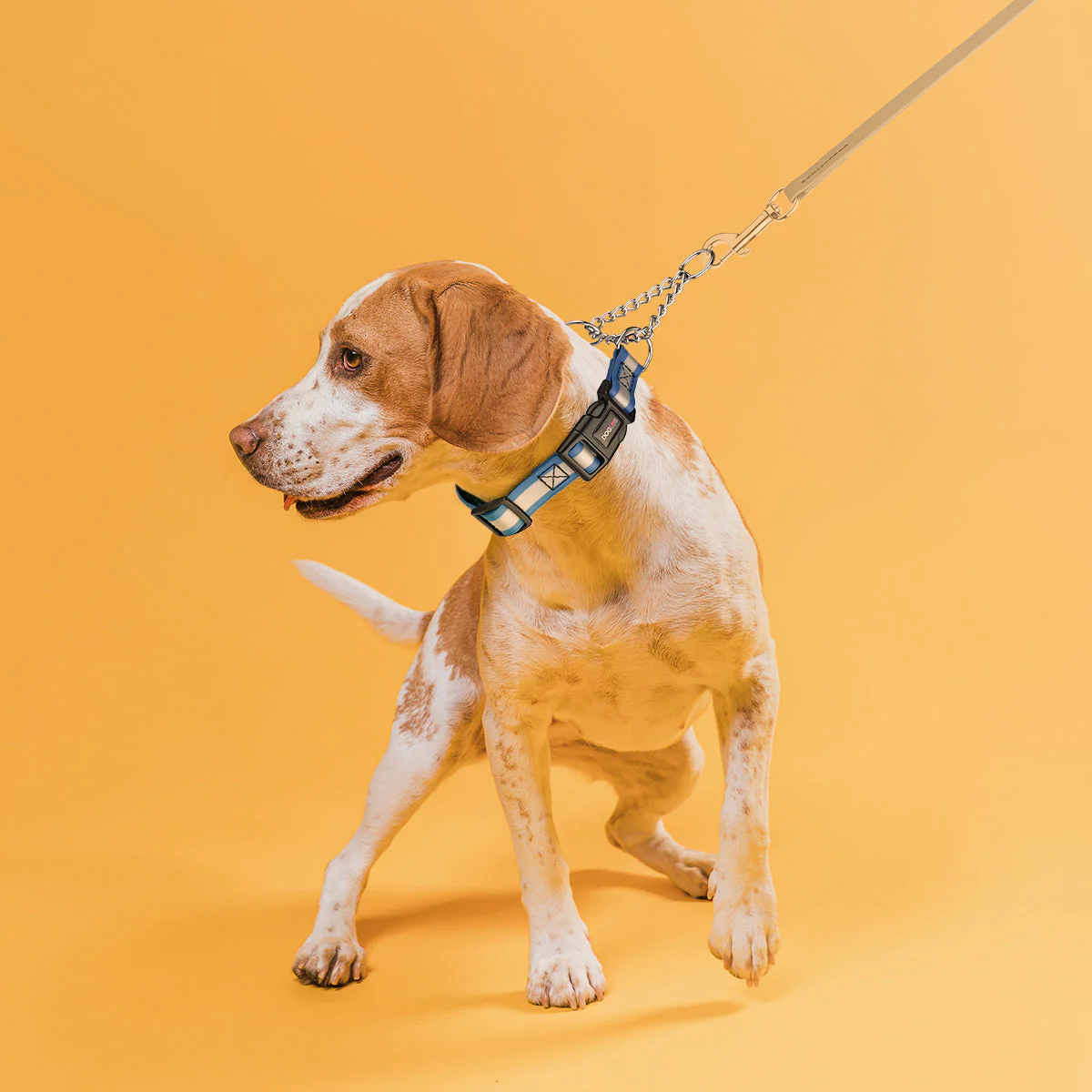 Reflective Biothane Martingale Collar with Quick Release Buckle - Image 4