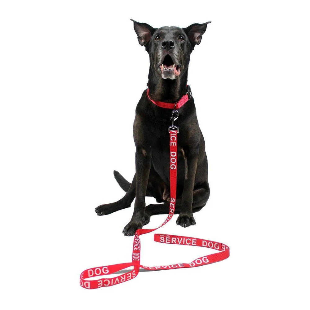 Reflective Nylon Dog Leash - Image 3