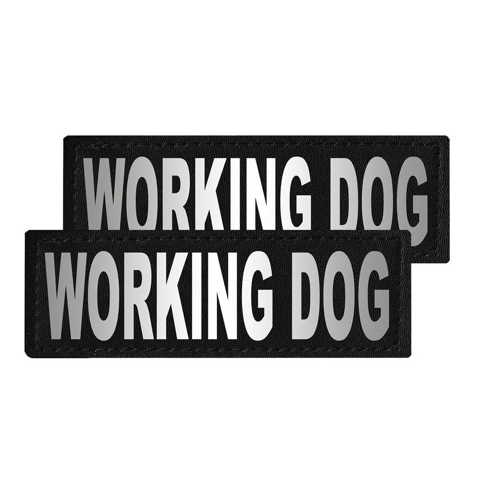 Removable Reflective Patches (Set of 2) - Image 34