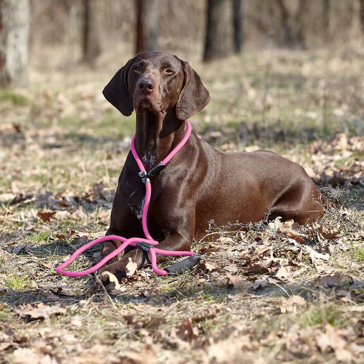 Round Nylon Slip Lead - Image 4