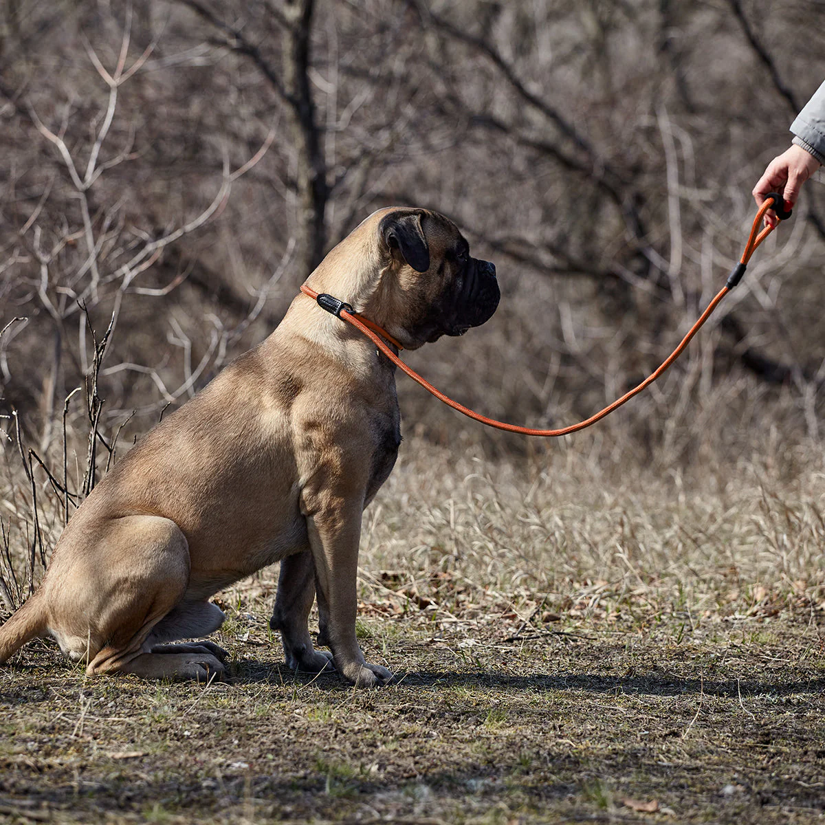 Round Nylon Slip Lead - Image 5