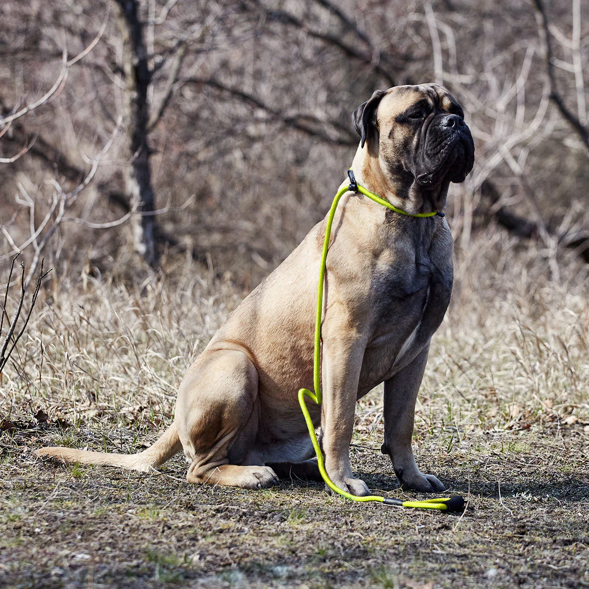 Round Nylon Slip Lead - Image 7