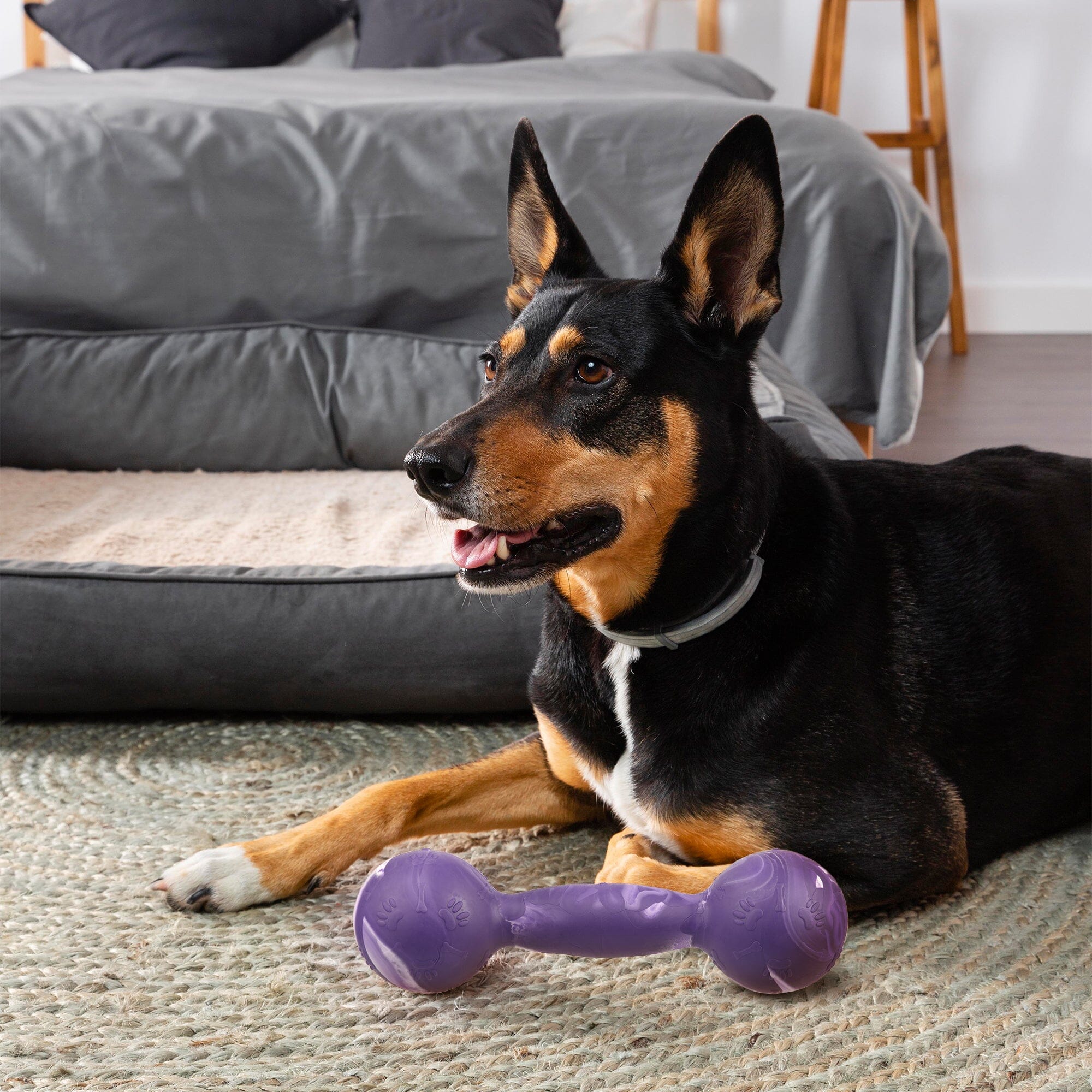 Rubber Dumbbell Toy - Image 3