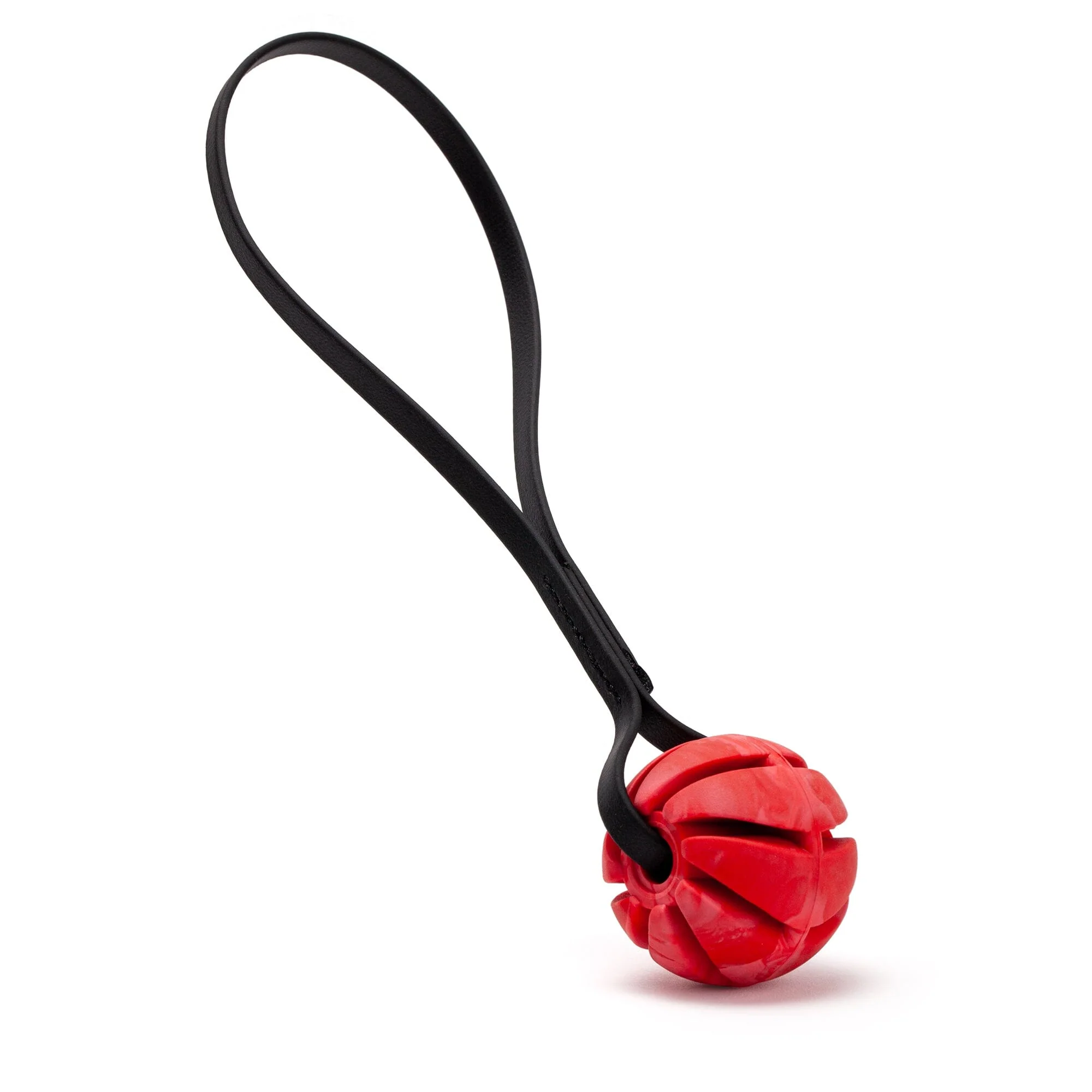 Rubber Spiral Ball with Biothane Handle - Image 11
