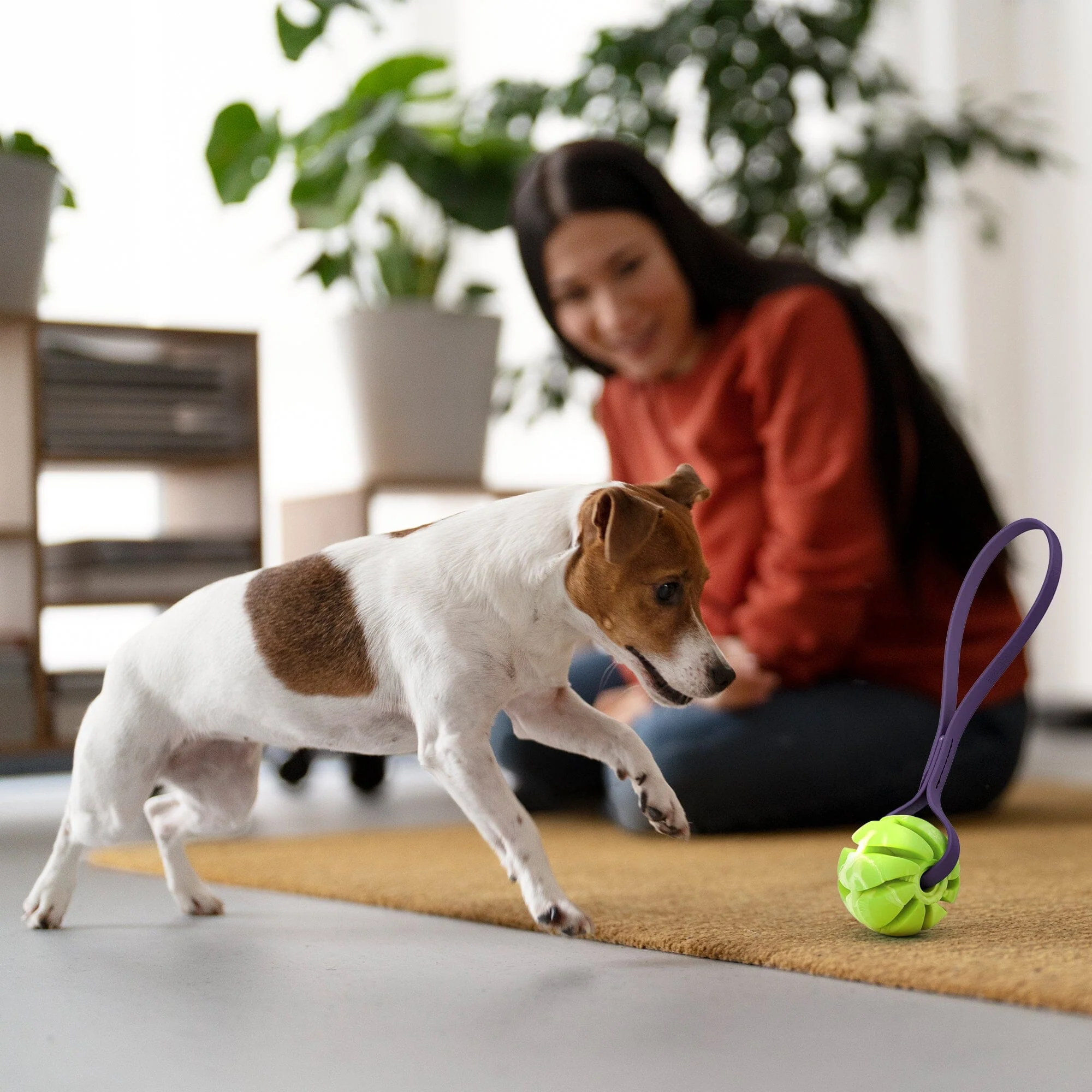 Rubber Spiral Ball with Biothane Handle - Image 4