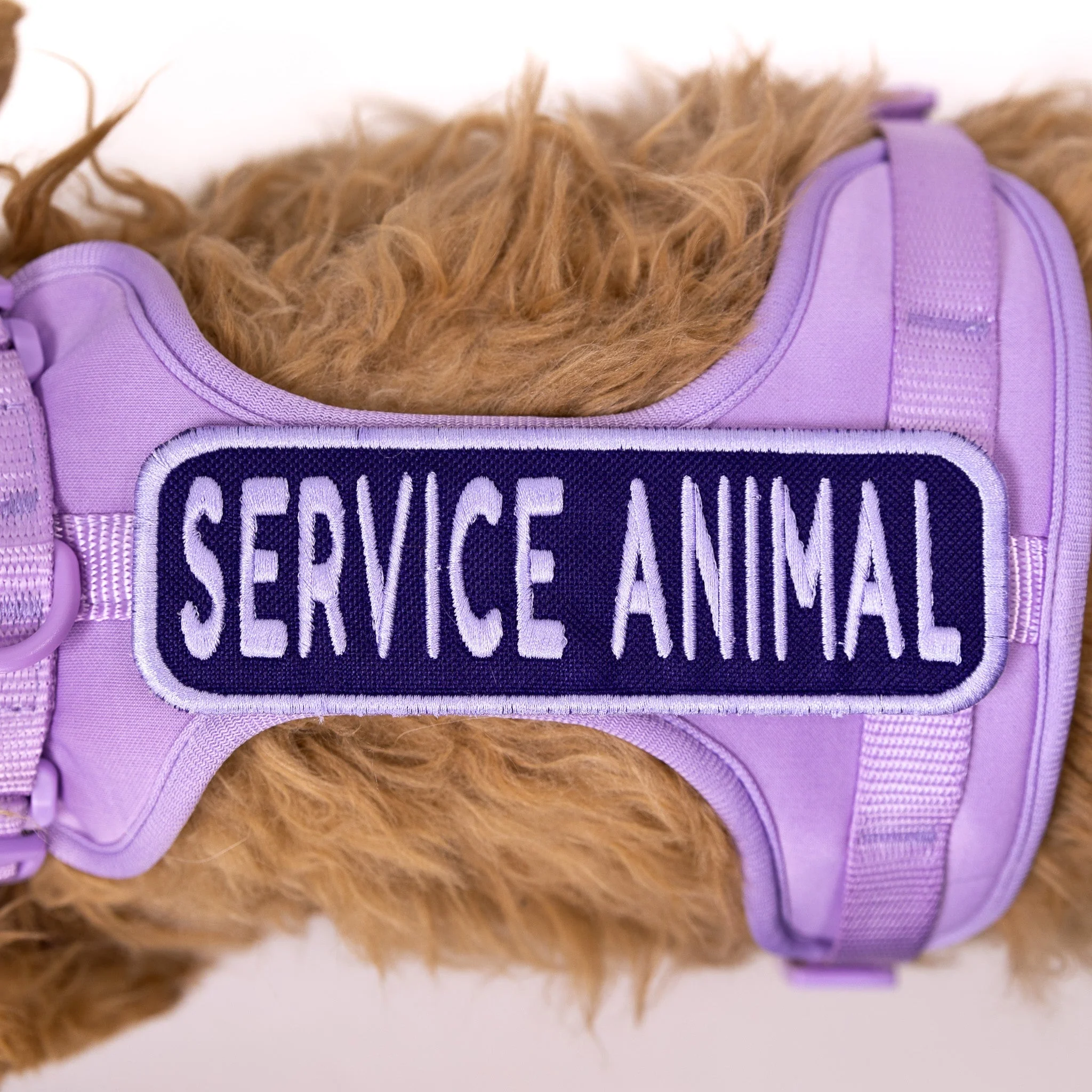 Service Animal 2x6 Patch - Image 4