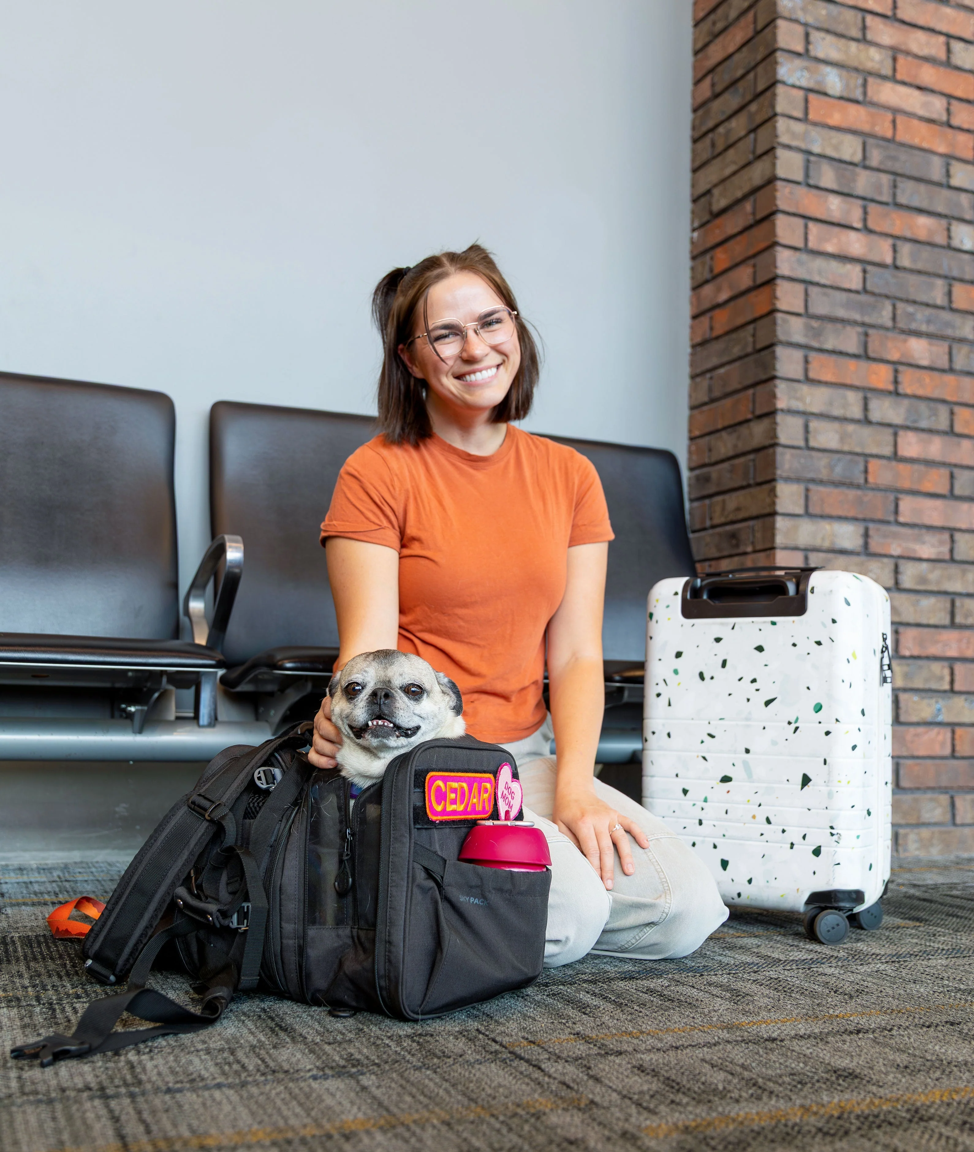 K9 Sport Sack Sky Pack | Convertible Dog Backpack & Pet Carrier - Image 10