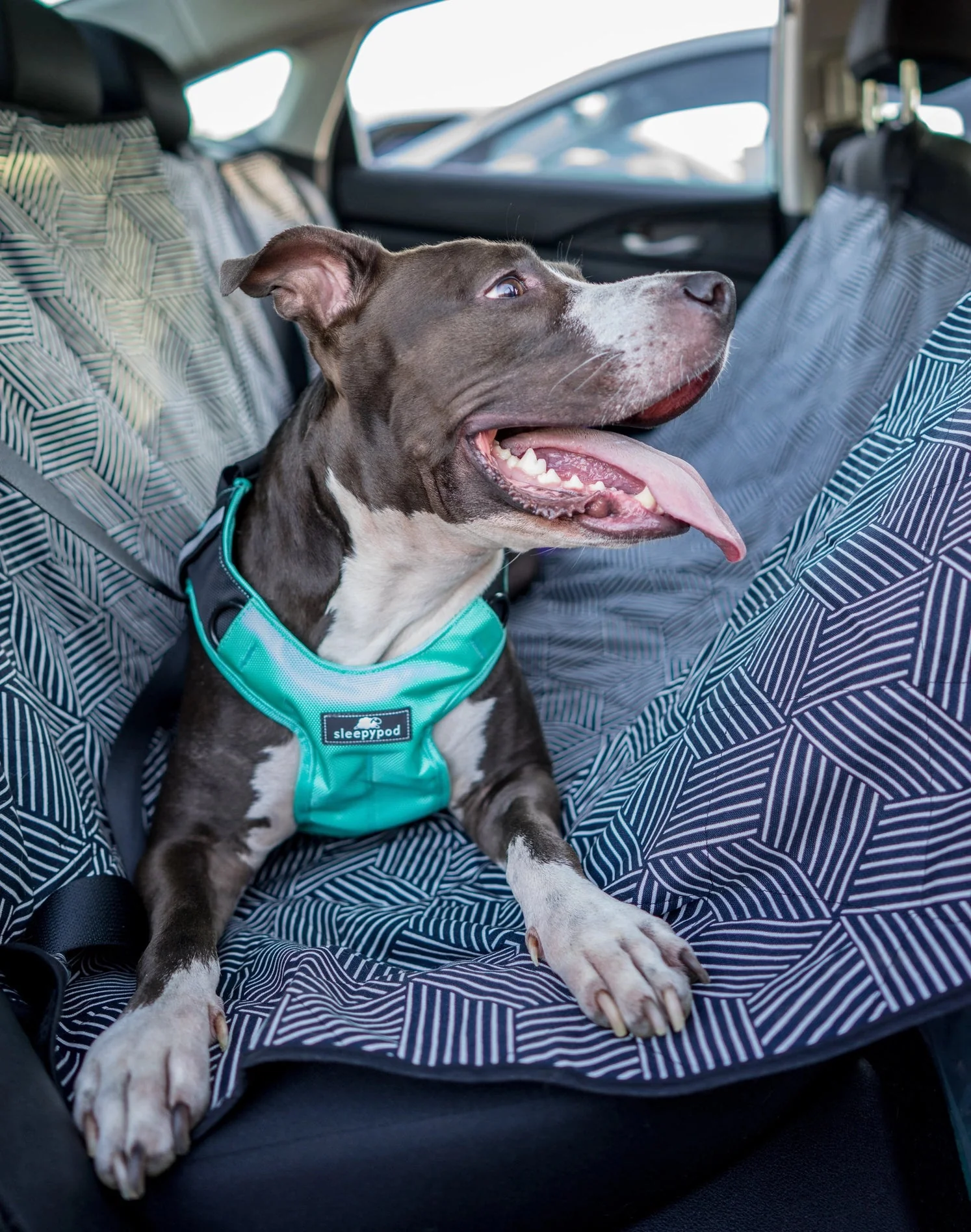 Sleepypod - Clickit Terrain Plus Crash Tested Car Harness - Image 6