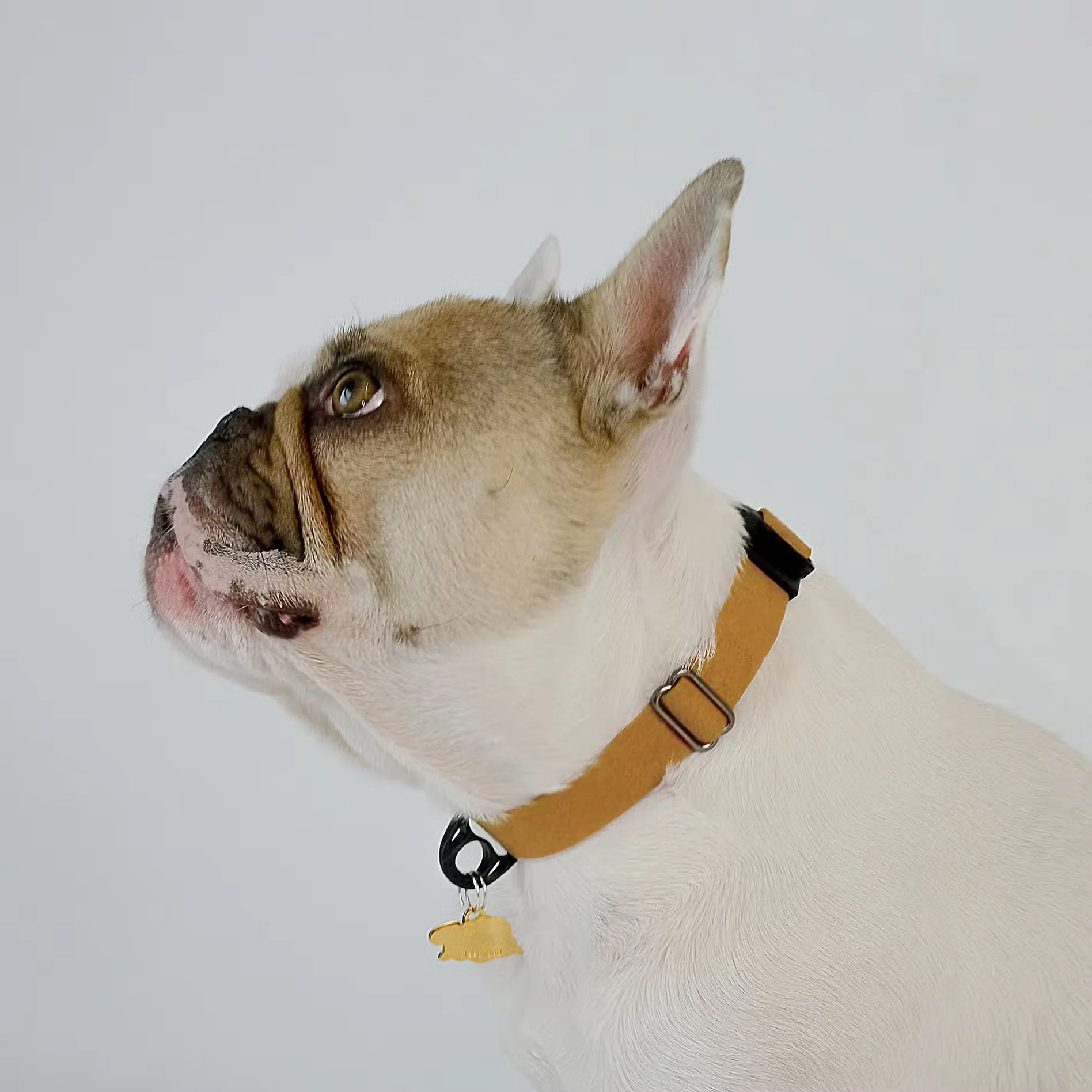 Sleepypod Comfort Suede Dog Collar - Image 4