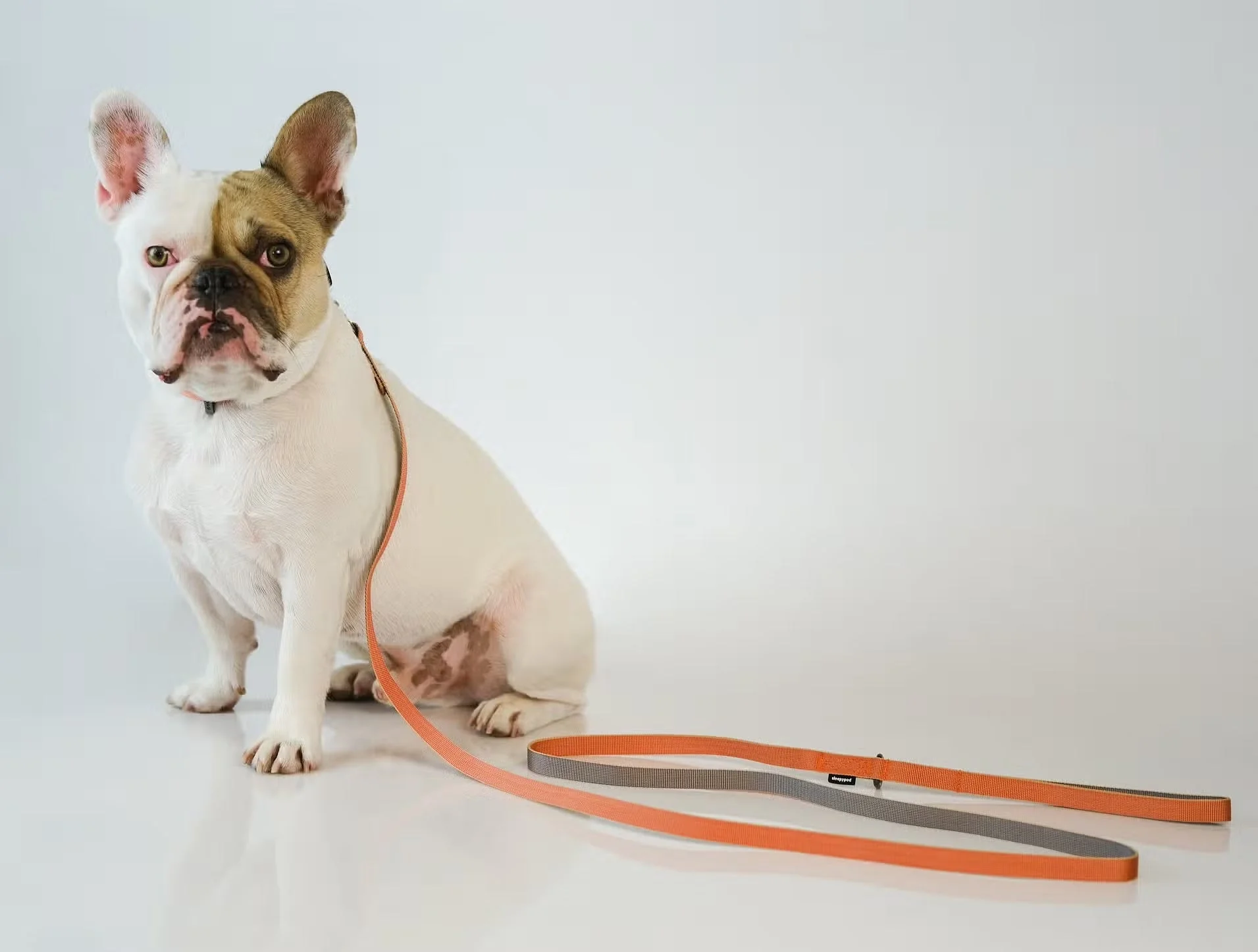 Sleepypod Slim Leash - Image 3