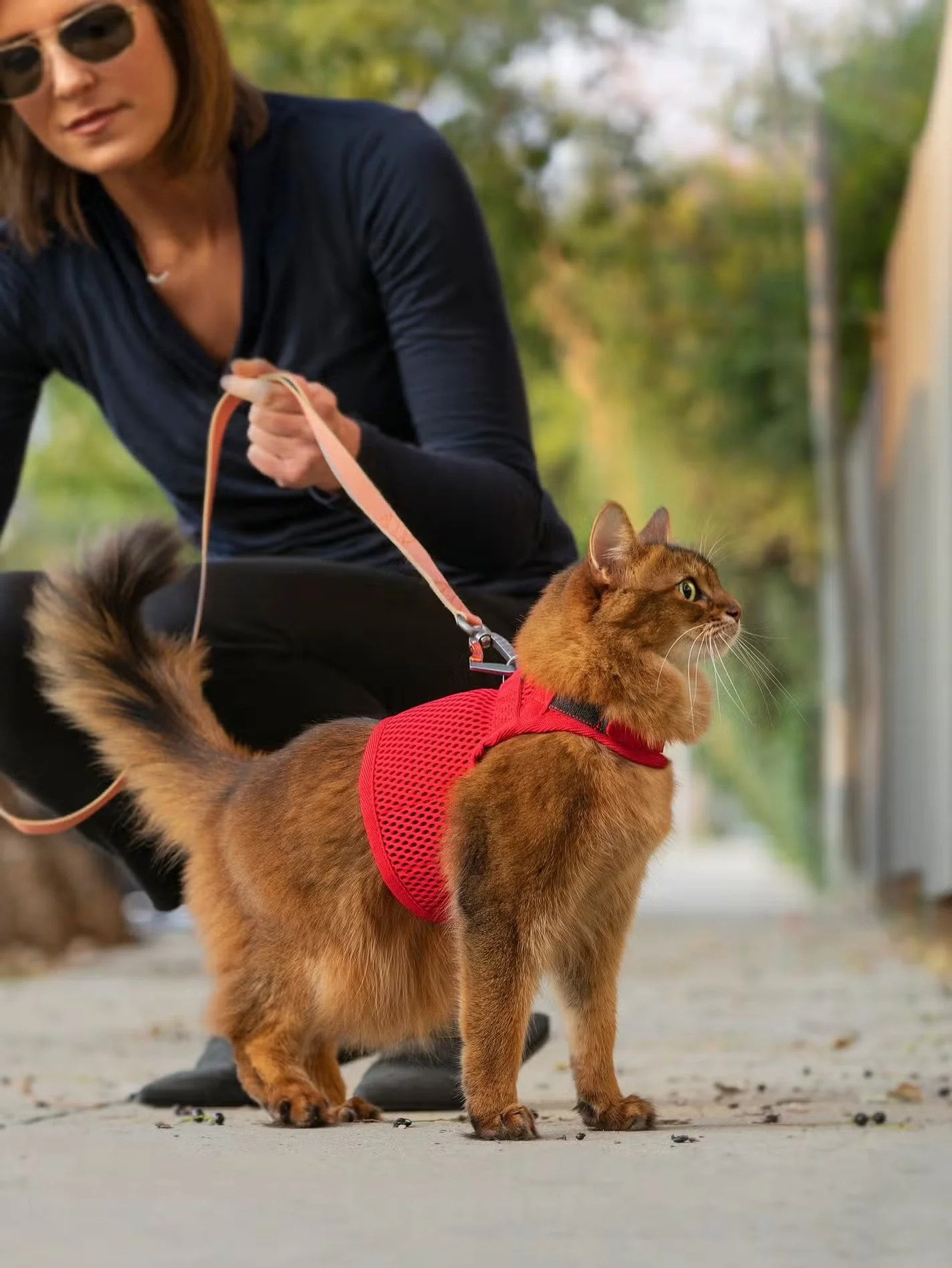 Sleepypod Slim Leash - Image 4