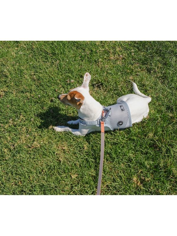 Sleepypod Slim Leash - Image 5