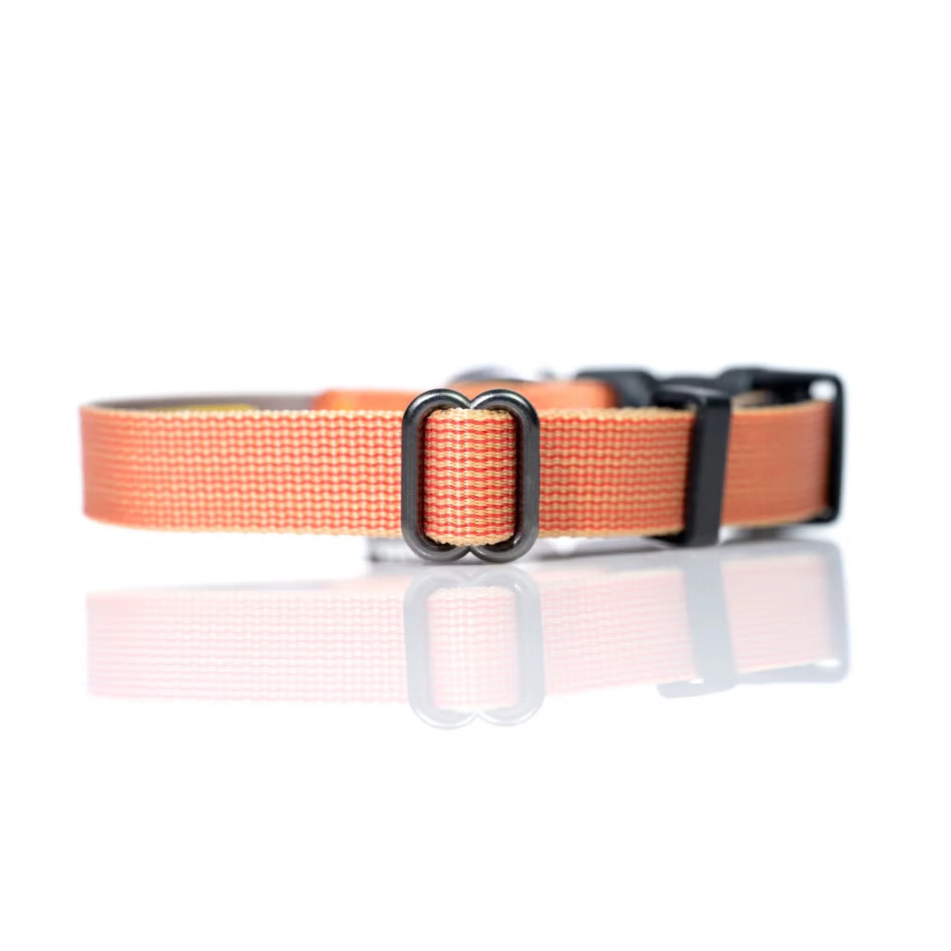 Sleepypod Everyday Collar - Image 6