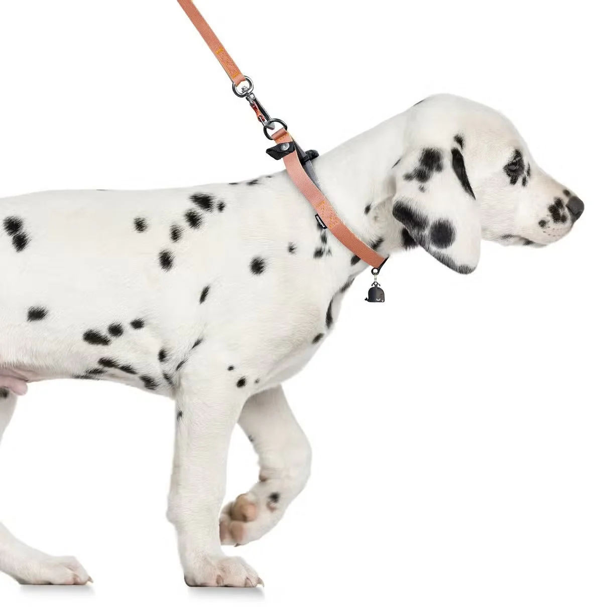 Sleepypod Locking Martingale Collar - Image 18