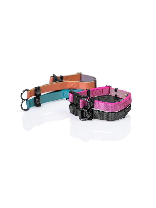 Sleepypod Locking Martingale Collar - Image 4