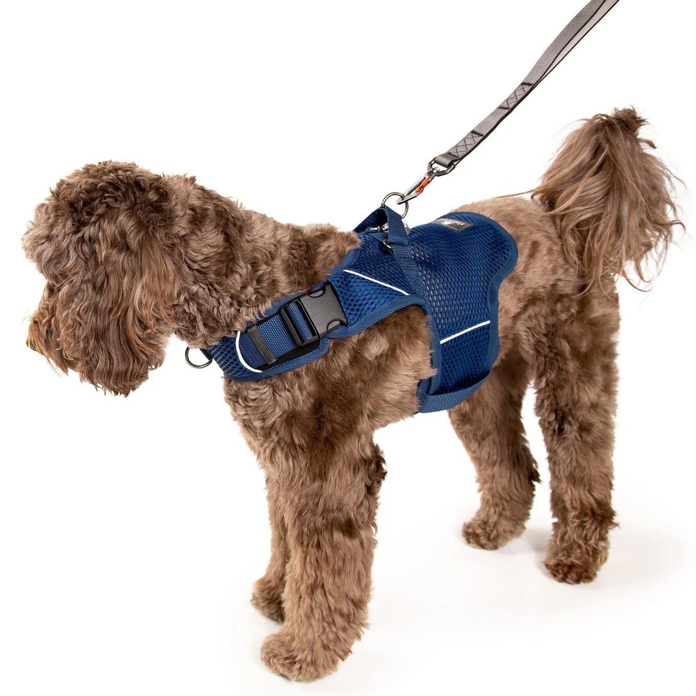 Sleepypod Martingale Calming Harness for Dogs - Image 10