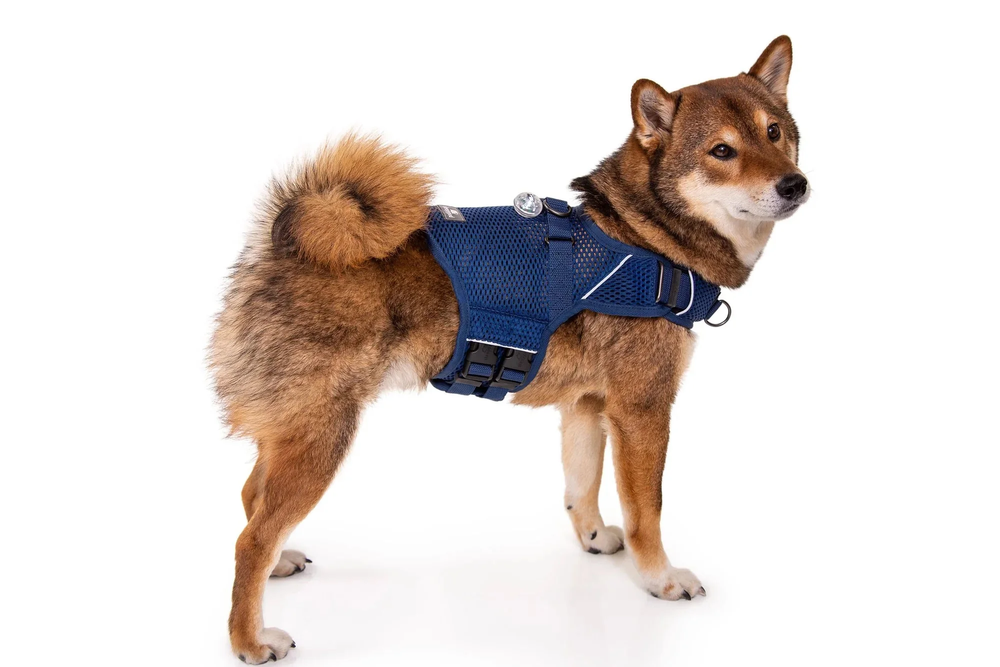 Sleepypod Martingale Calming Harness for Dogs - Image 13