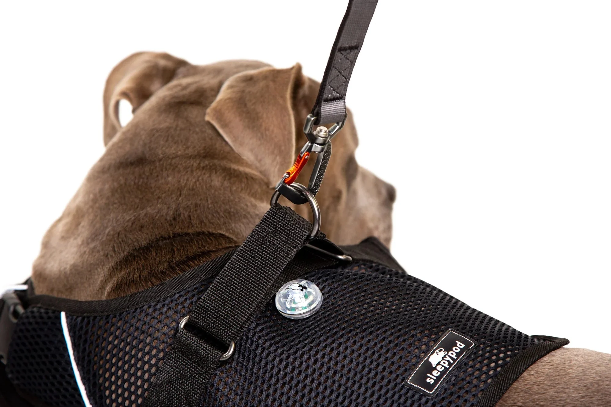 Sleepypod Martingale Calming Harness for Dogs - Image 5
