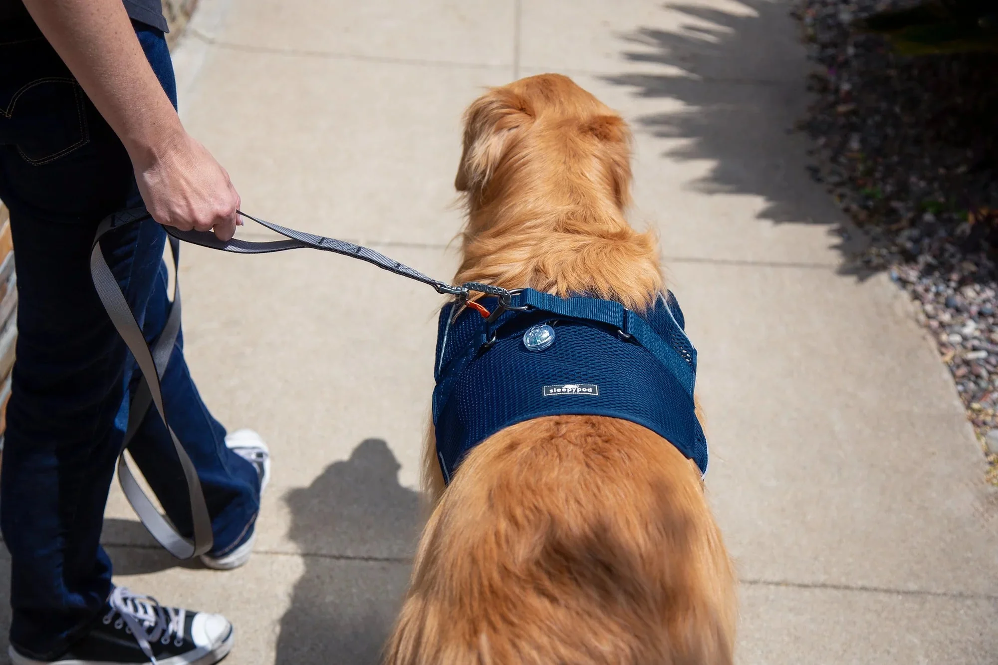 Sleepypod Martingale Calming Harness for Dogs - Image 8