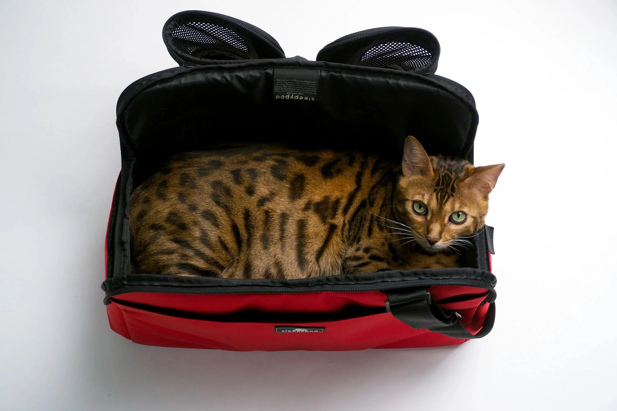 Sleepypod Atom Small Pet Carrier - Airline Compliant, Crash Tested Model - Image 19