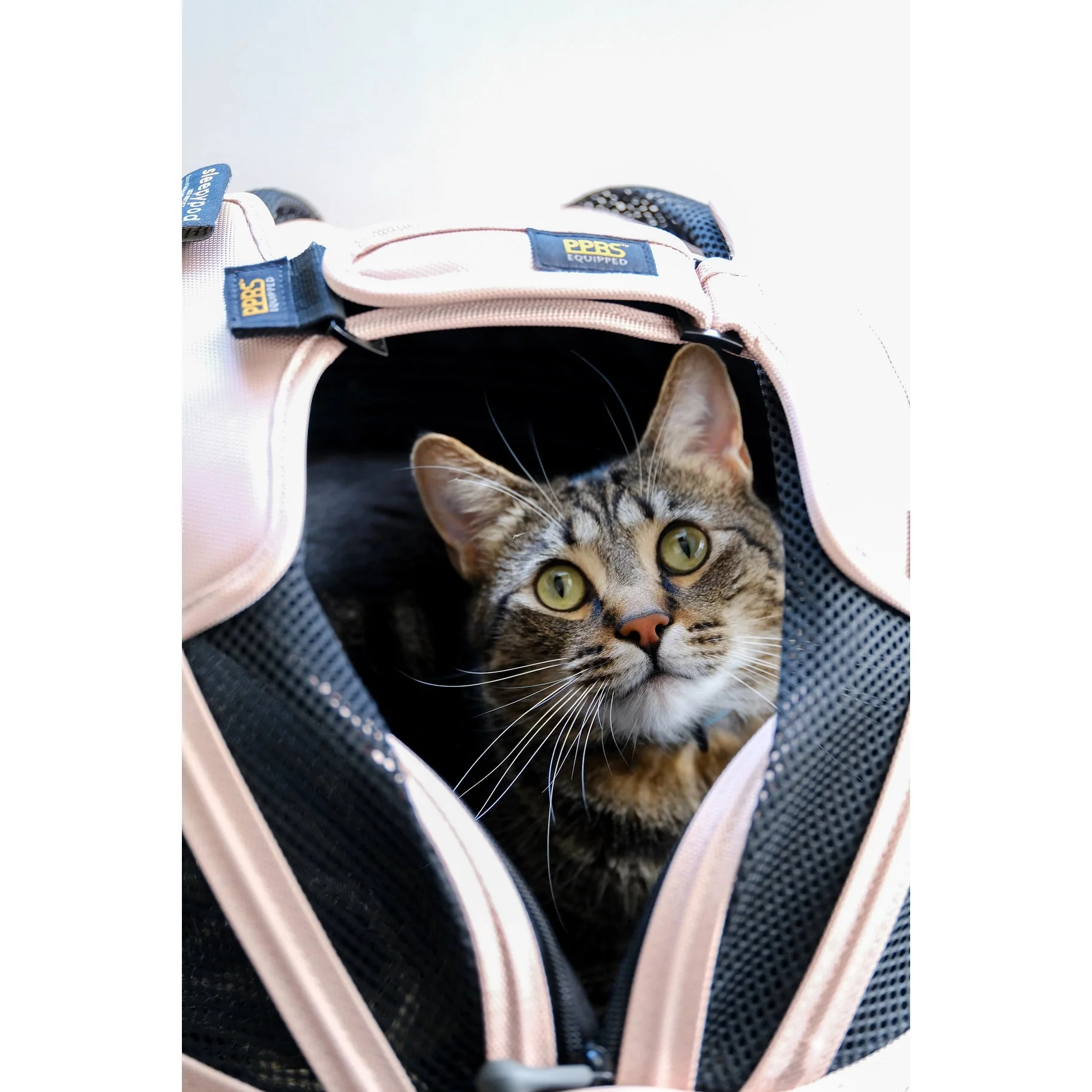 Sleepypod Mobile Pet Bed – Crash-Tested, Ultra-Plush Travel Bed for Small Pets - Full Size - Image 24