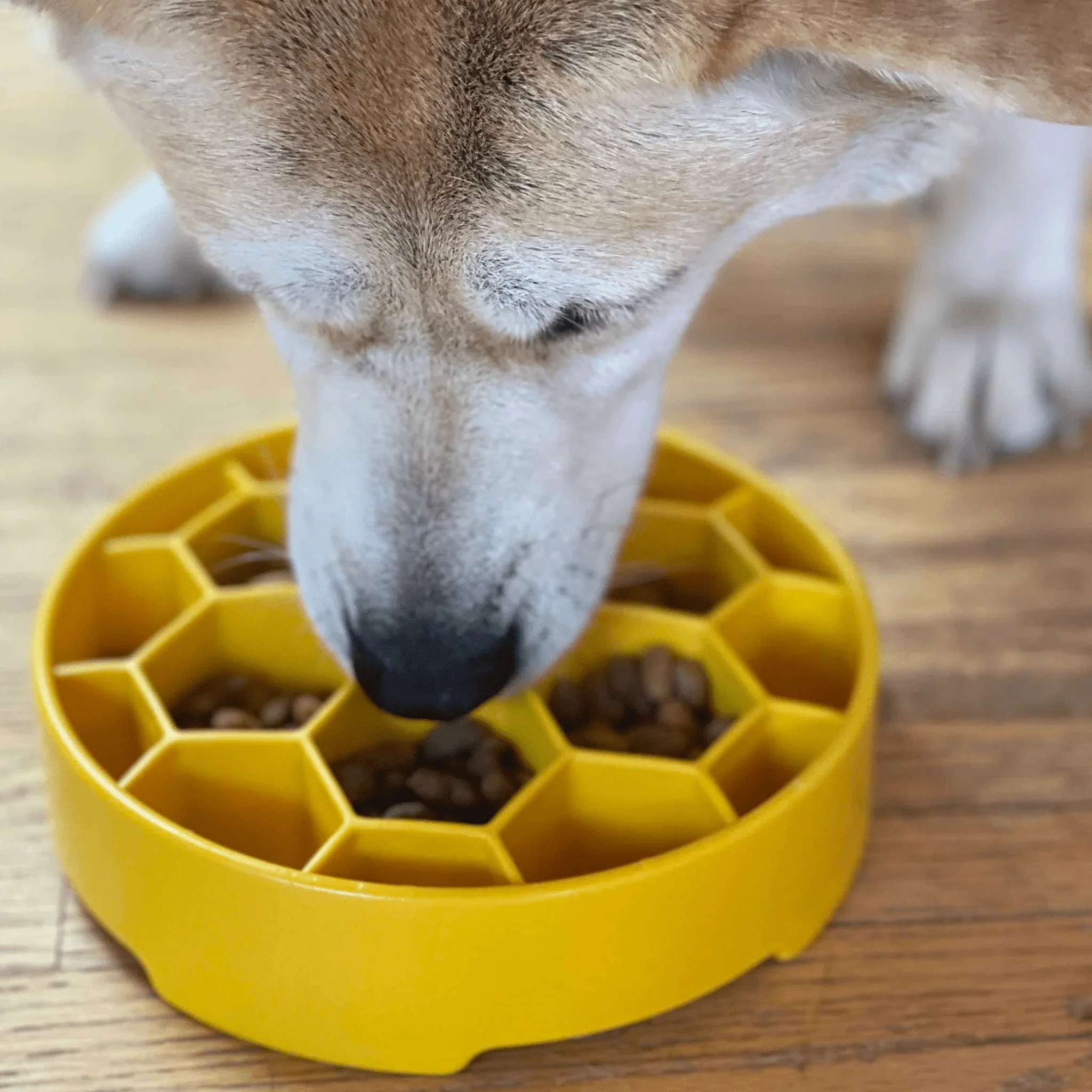 Slow Feeder Dog Bowls - Image 27