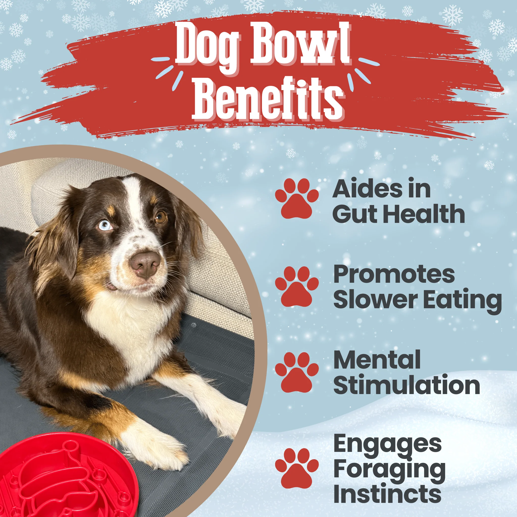 Slow Feeder Dog Bowls - Image 3