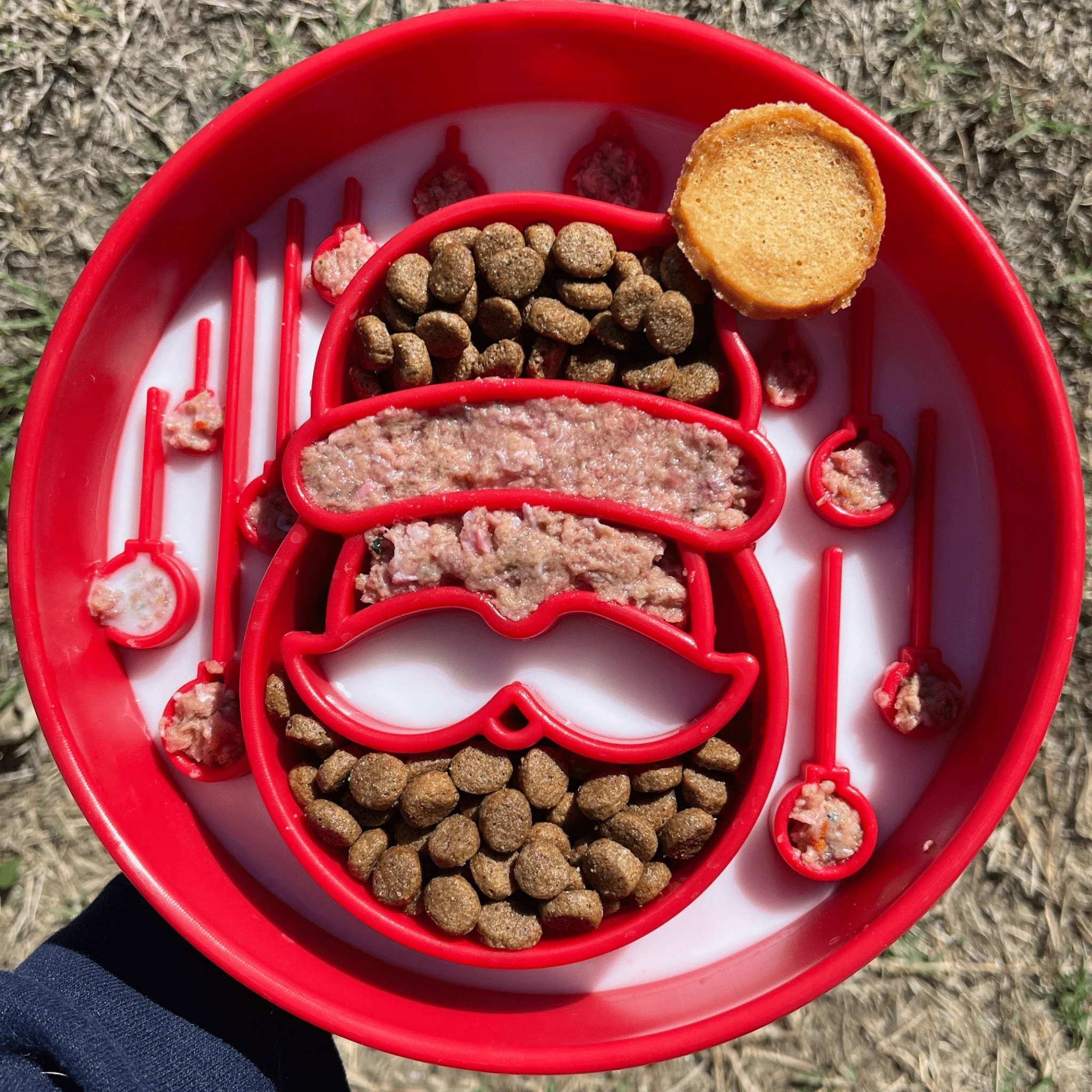 Slow Feeder Dog Bowls - Image 5