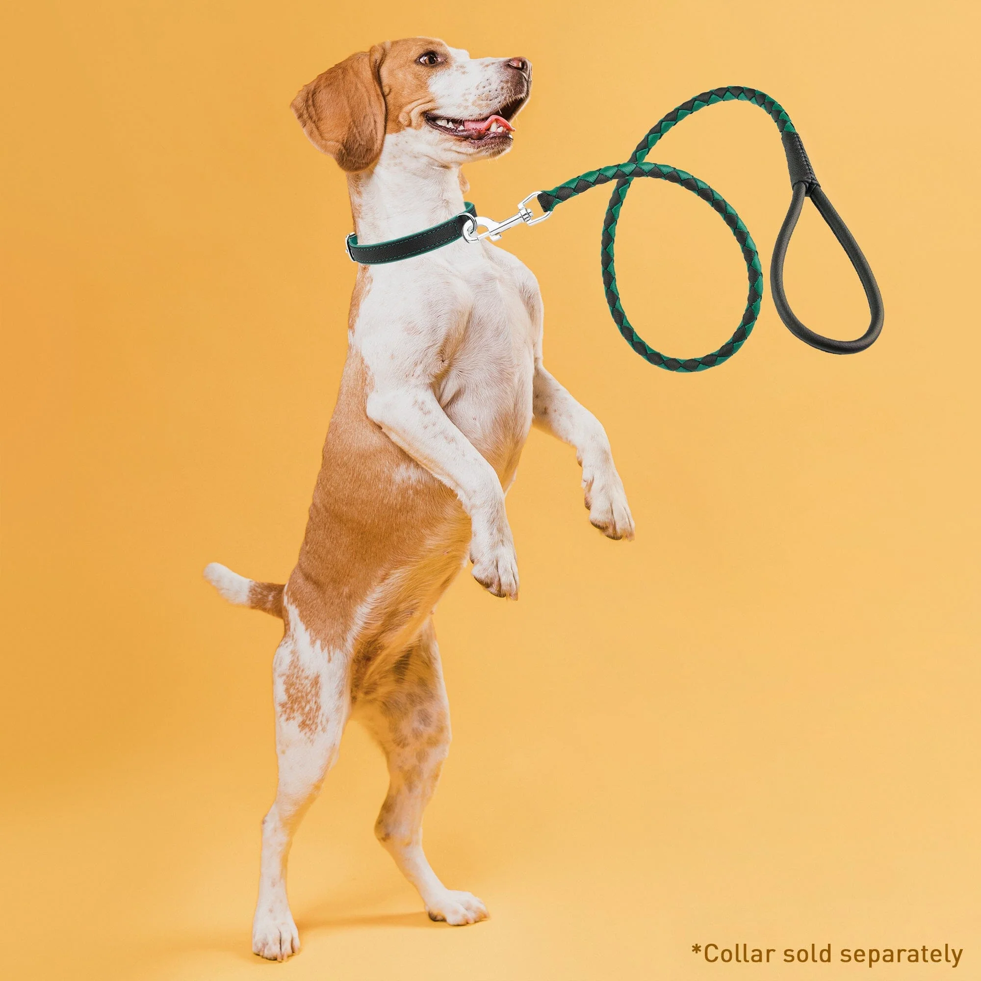 Soft Leather Dual-Color Braided Round Lead - Image 3