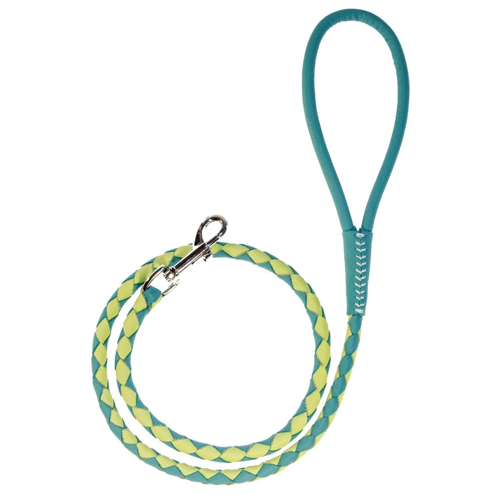 Soft Leather Dual-Color Braided Round Lead - Image 33