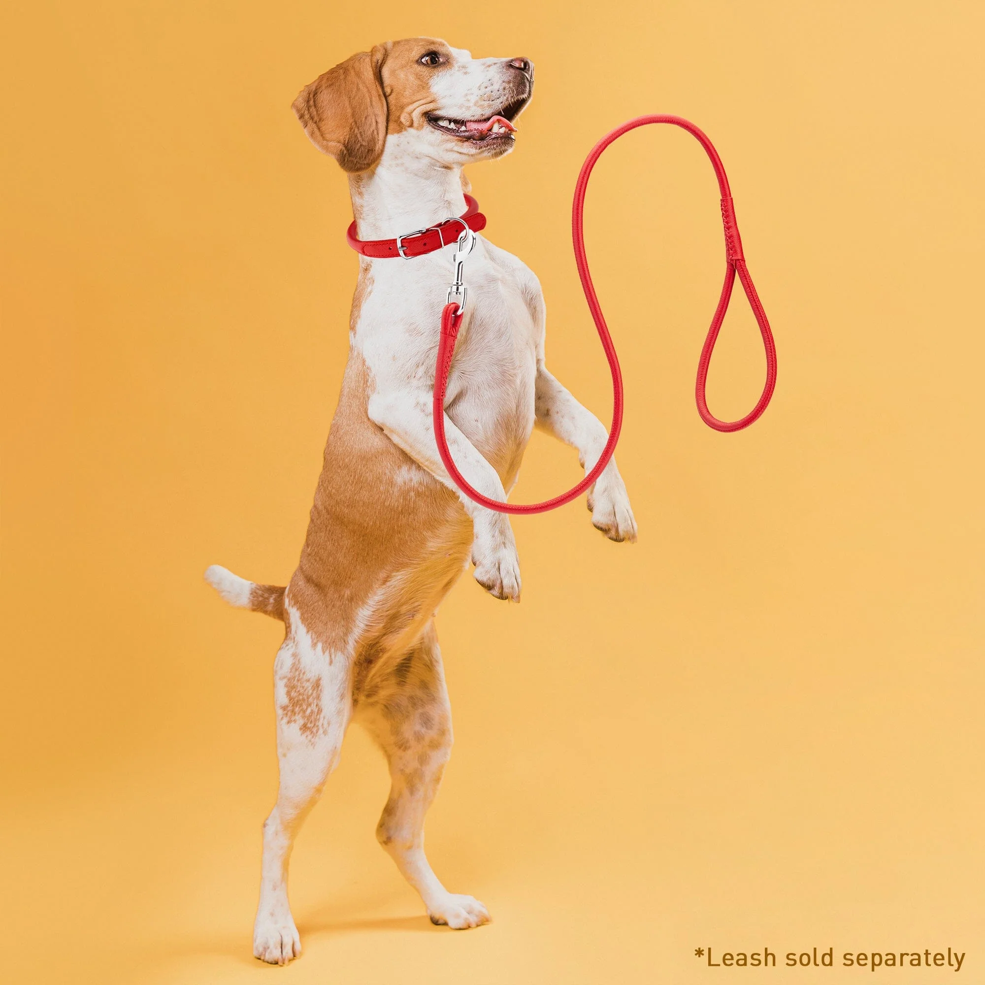 Soft Leather Round Dog Collar - Image 6
