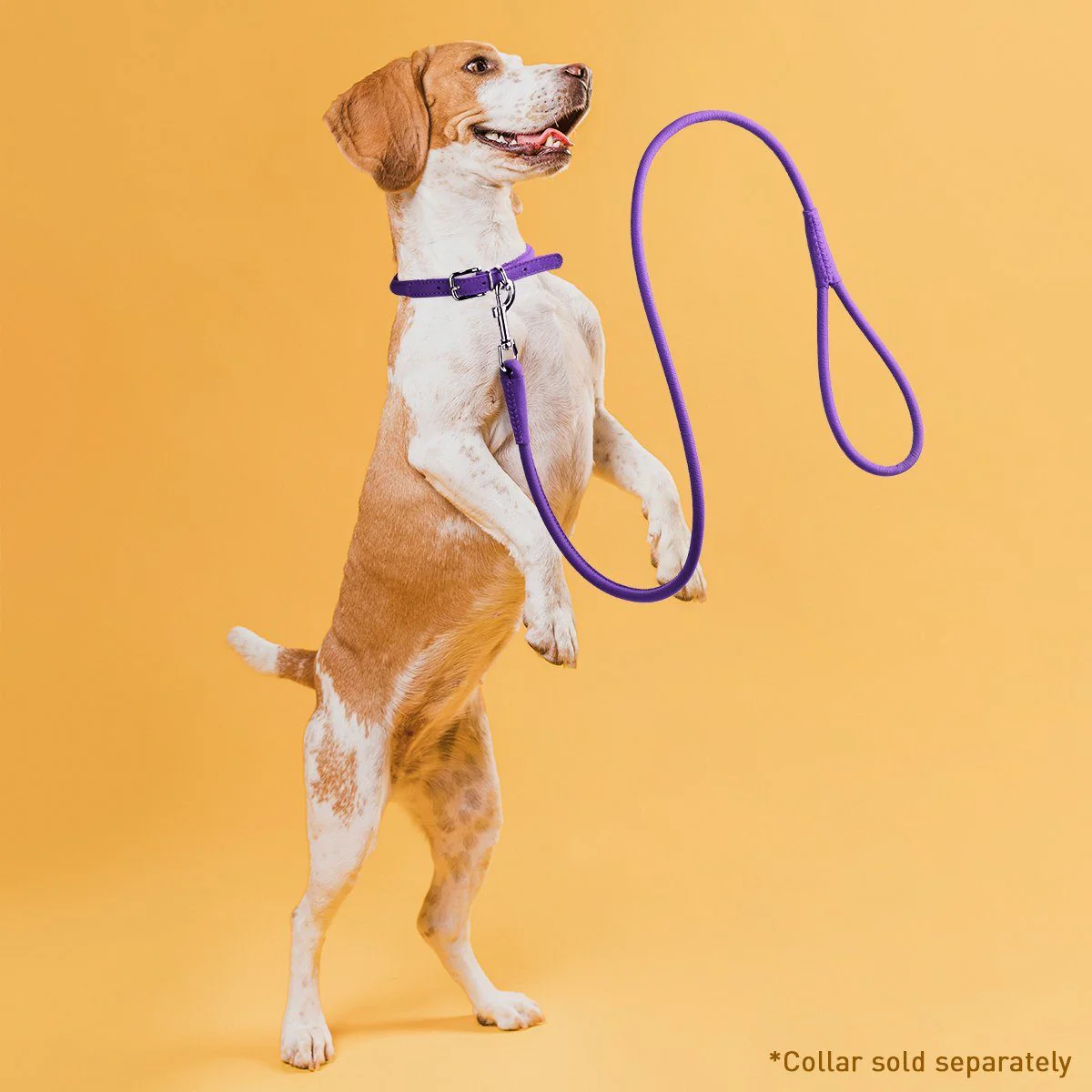 Soft Leather Round Dog Lead - Image 4