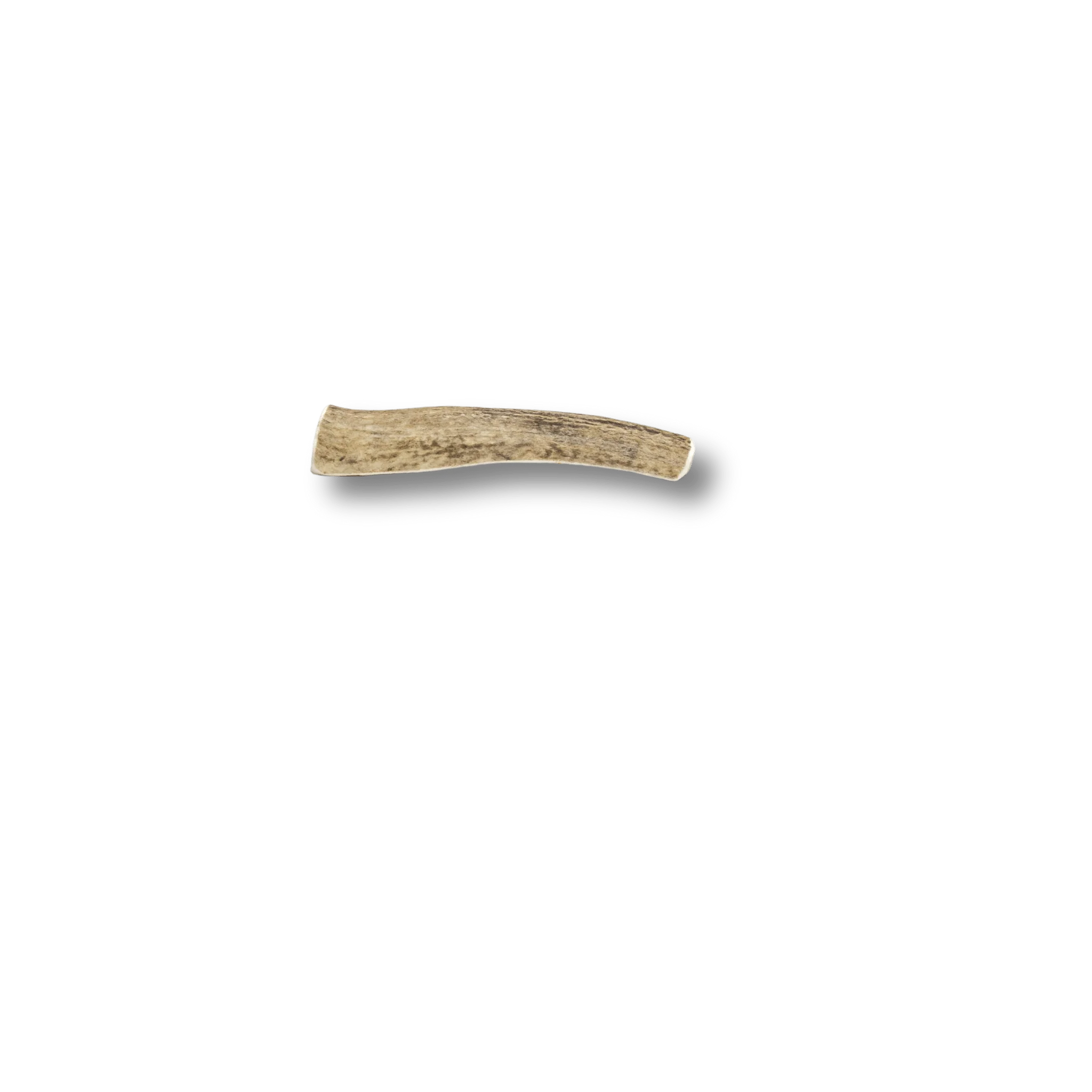 Split Elk Antlers for Dogs - Image 4