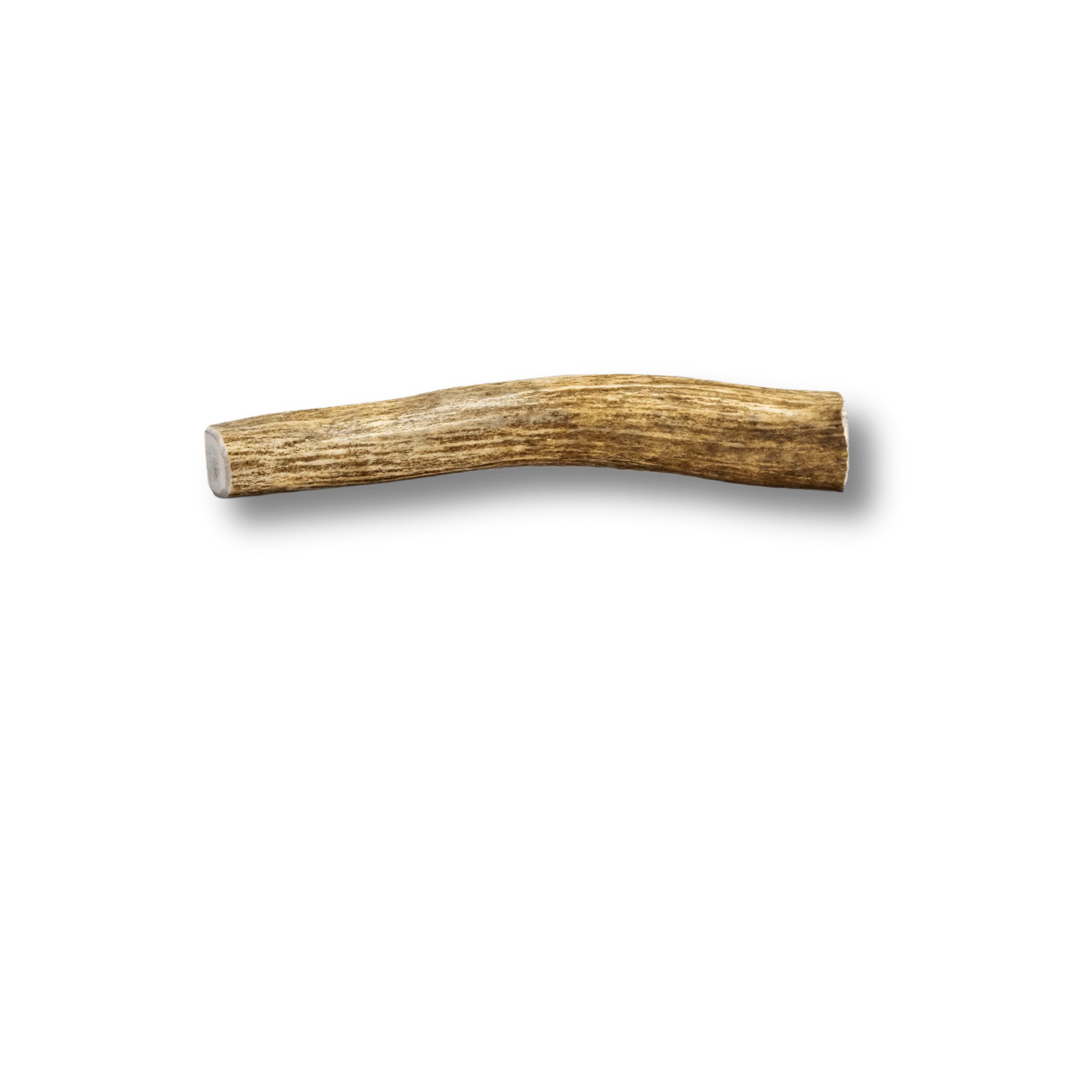 Split Elk Antlers for Dogs - Image 9