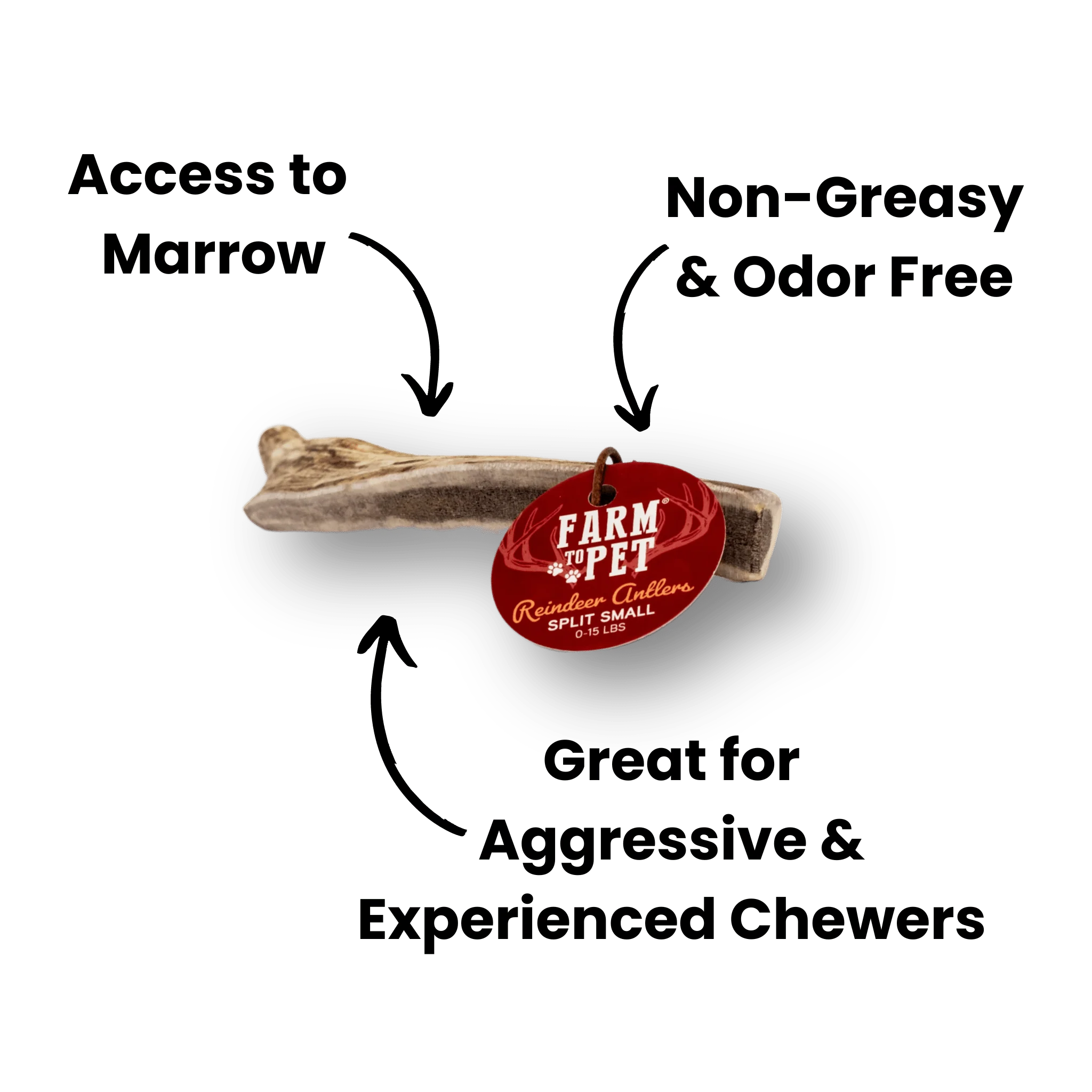 Split Reindeer Antlers for Dogs - Image 13