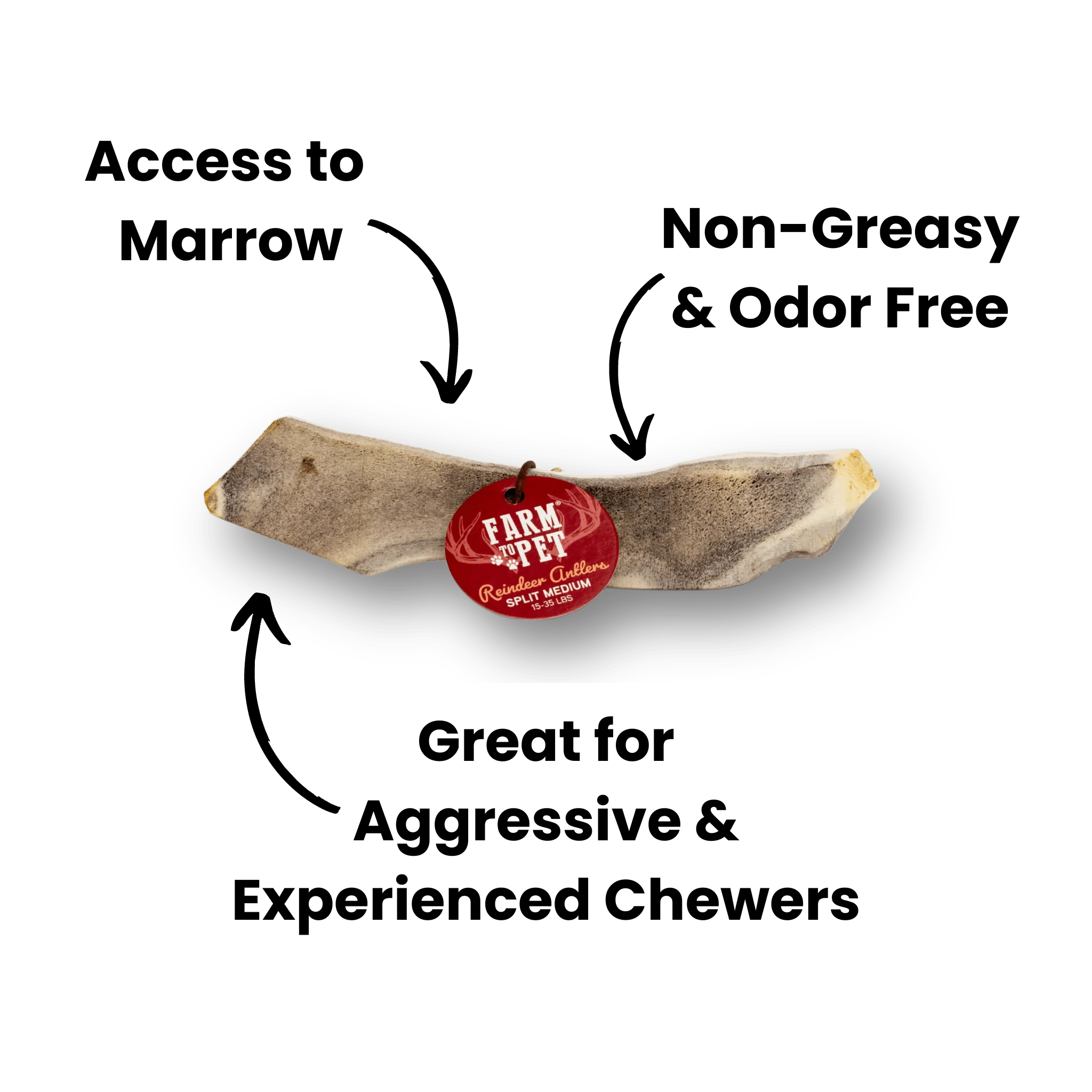 Split Reindeer Antlers for Dogs - Image 8