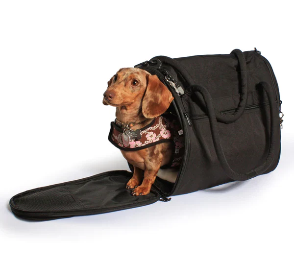 SturdiBag™ Incognito Pet Carrier - Image 12