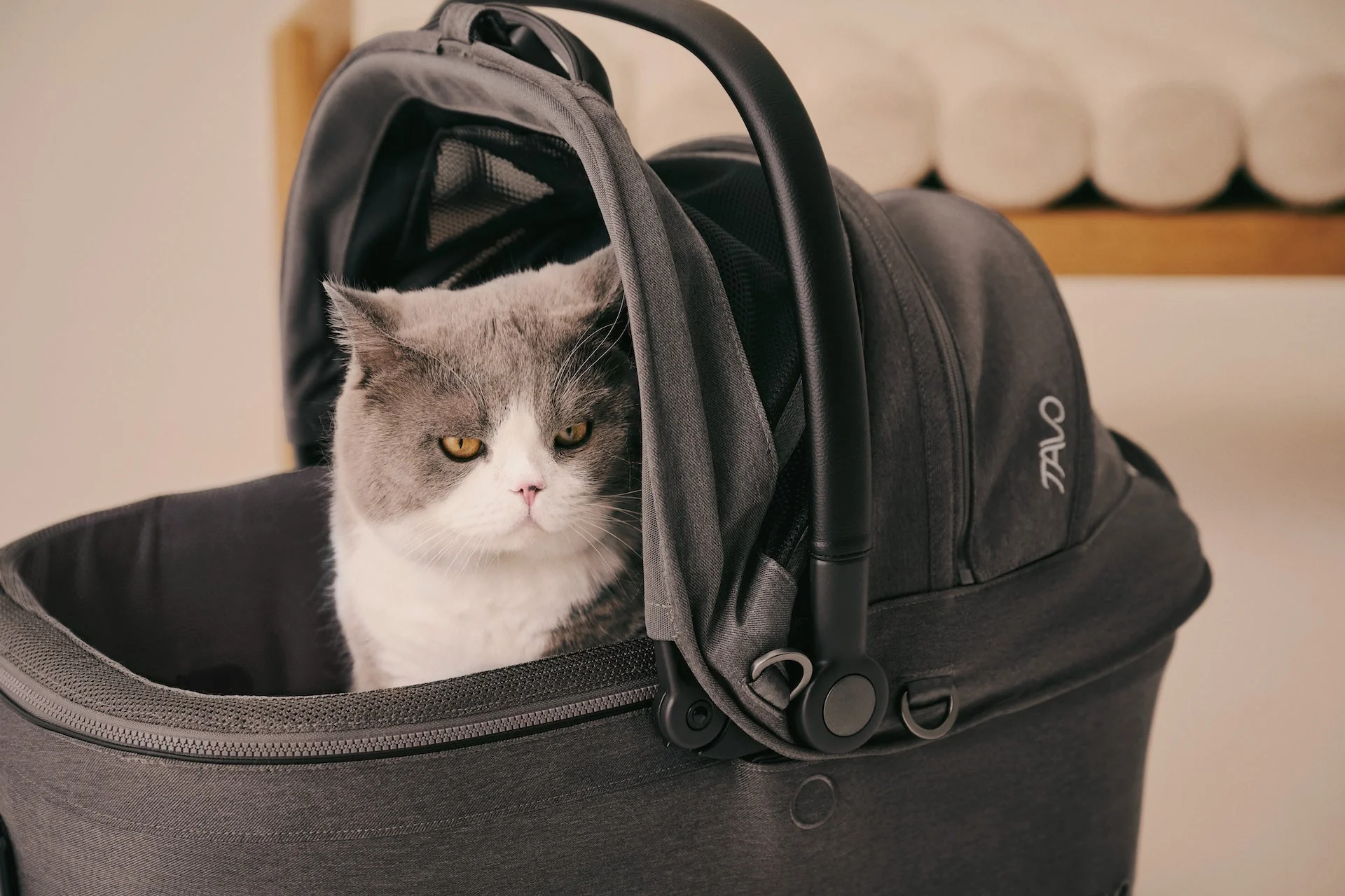 Tavo Pets Maeve™ iso6X Wind Series - Tavo’s newest crash-tested car seat! Please Note Shipping Time Frame in Description - Image 22