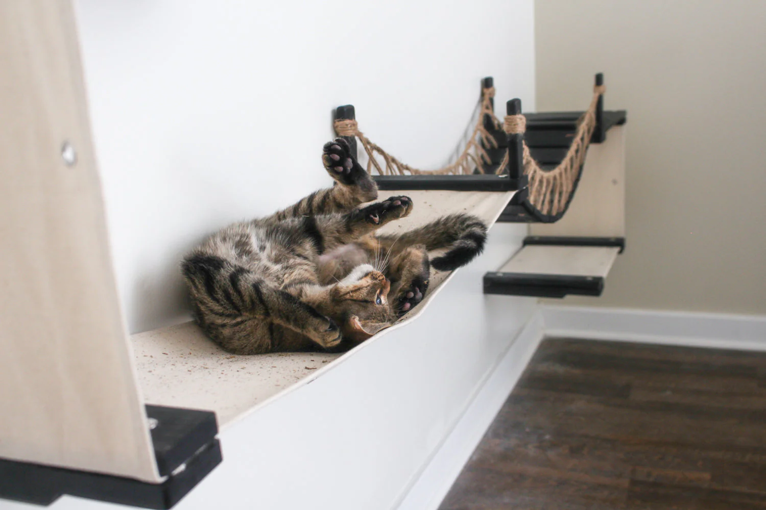 The Canyon - Our Best Cat Tree for Multiple Cats - Image 7