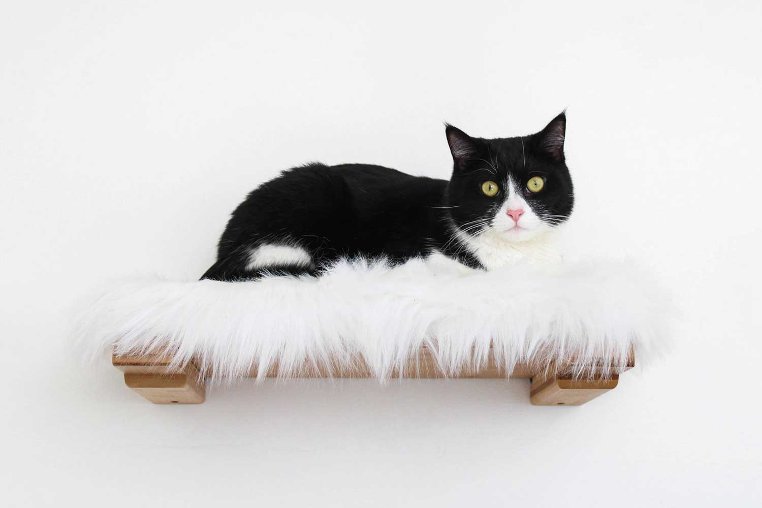 The Cat Nest Bed by Catastrophic Creations - Image 10