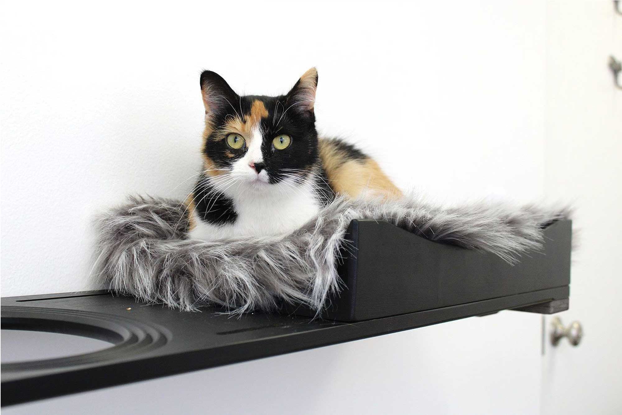 The Cat Nest Bed by Catastrophic Creations - Image 14