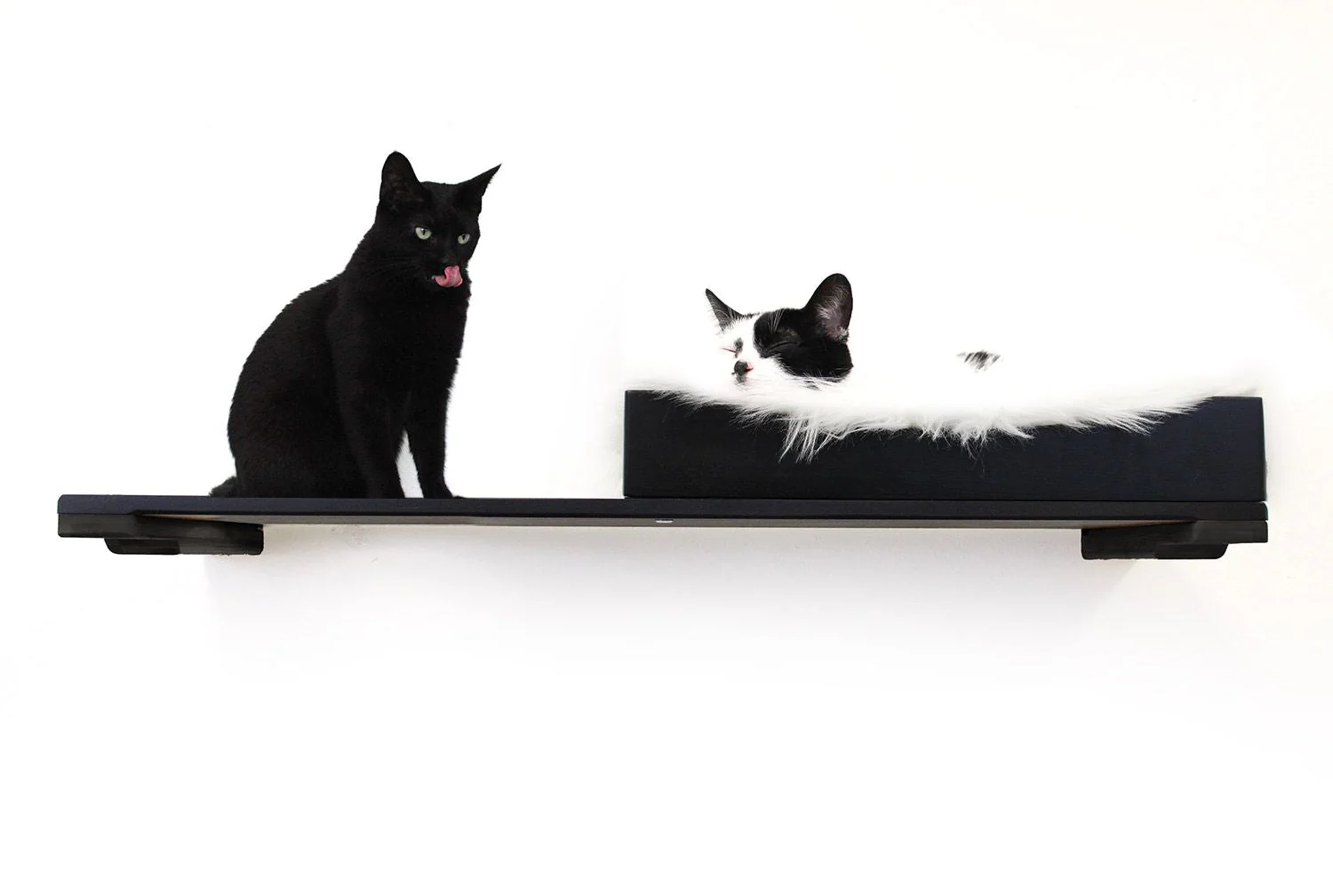 The Cat Nest Bed by Catastrophic Creations - Image 16