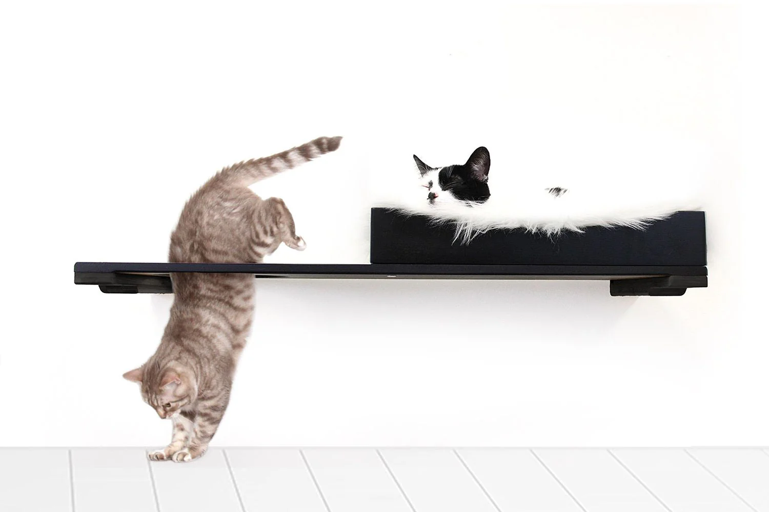 The Cat Nest Bed by Catastrophic Creations - Image 17