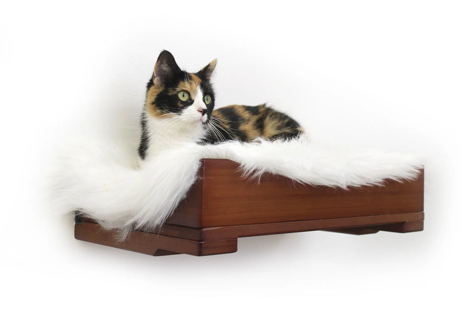 The Cat Nest Bed by Catastrophic Creations - Image 24