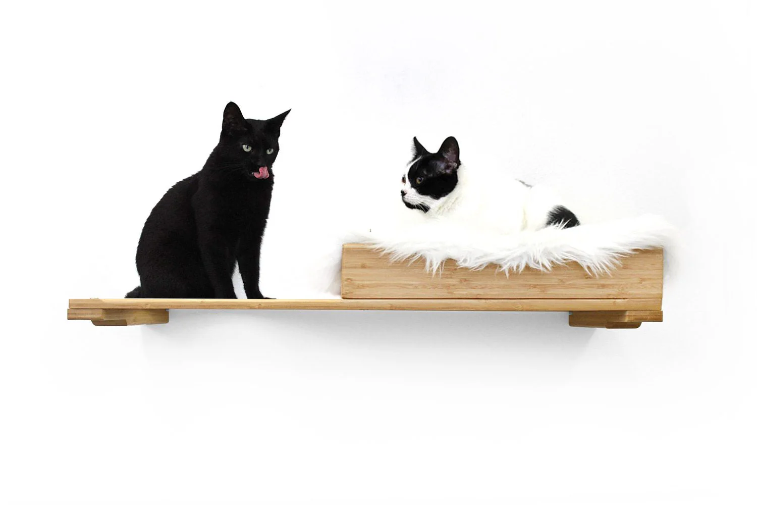 The Cat Nest Bed by Catastrophic Creations - Image 34