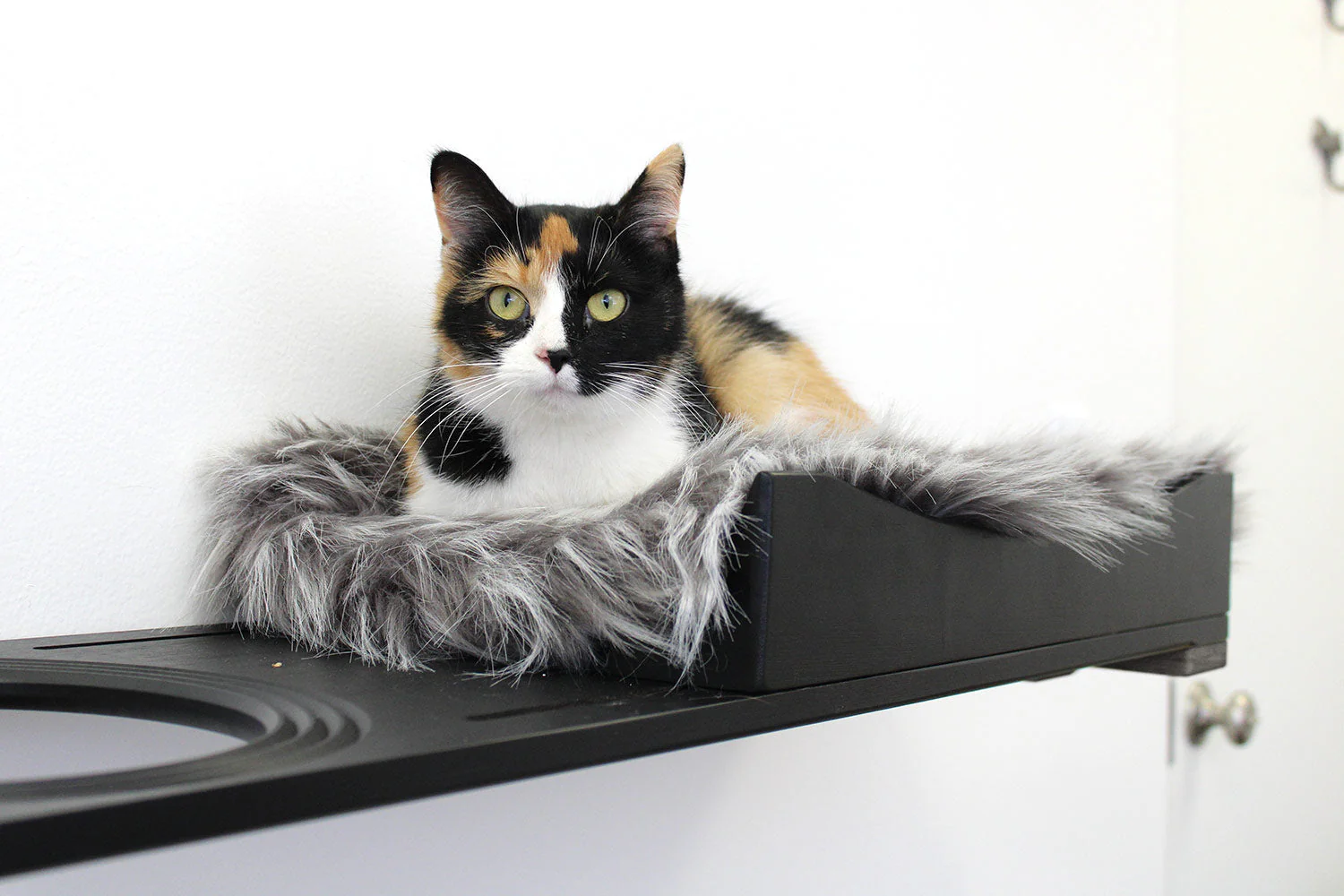 The Cat Nest Bed by Catastrophic Creations - Image 8