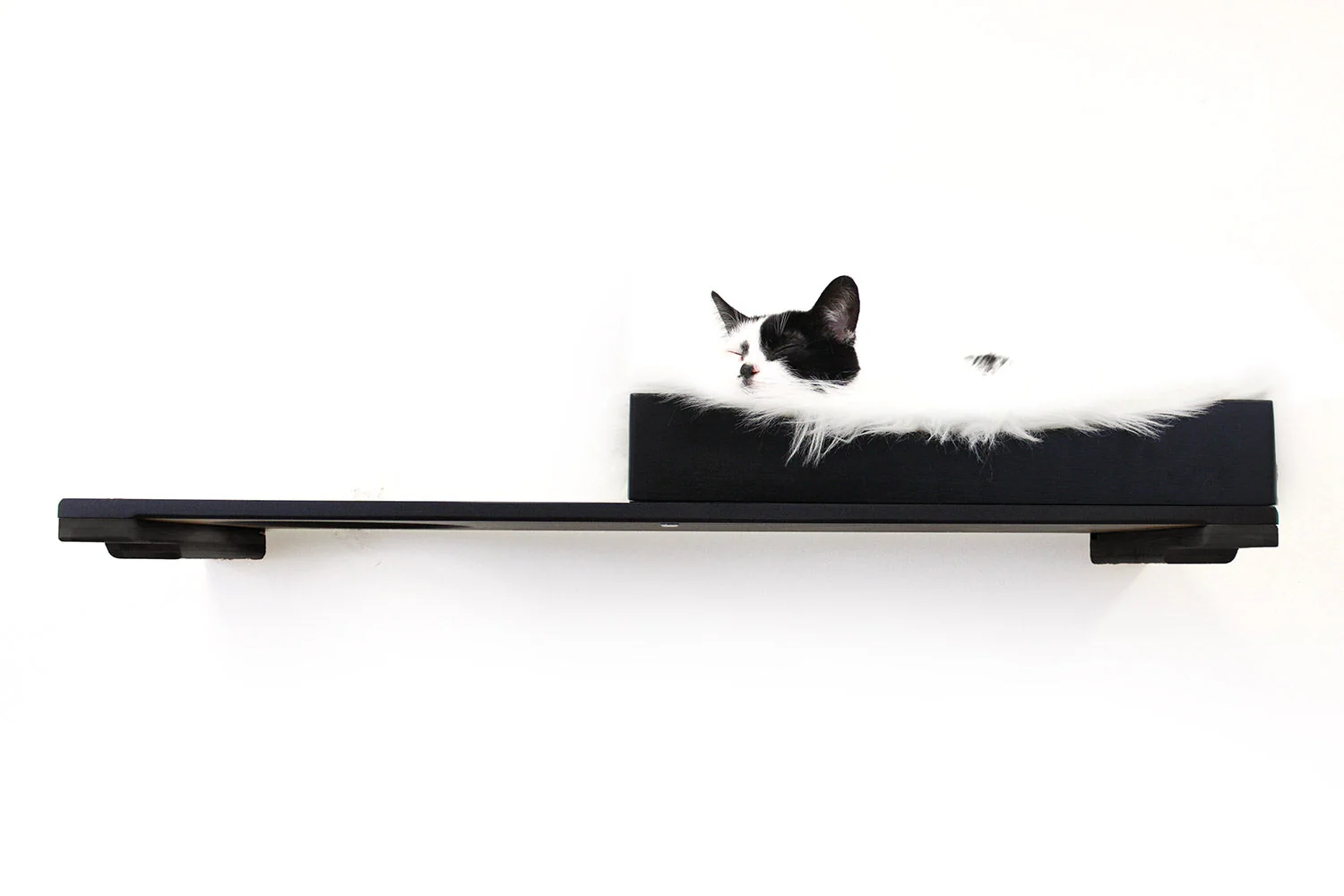 The Cat Nest Bed by Catastrophic Creations - Image 9