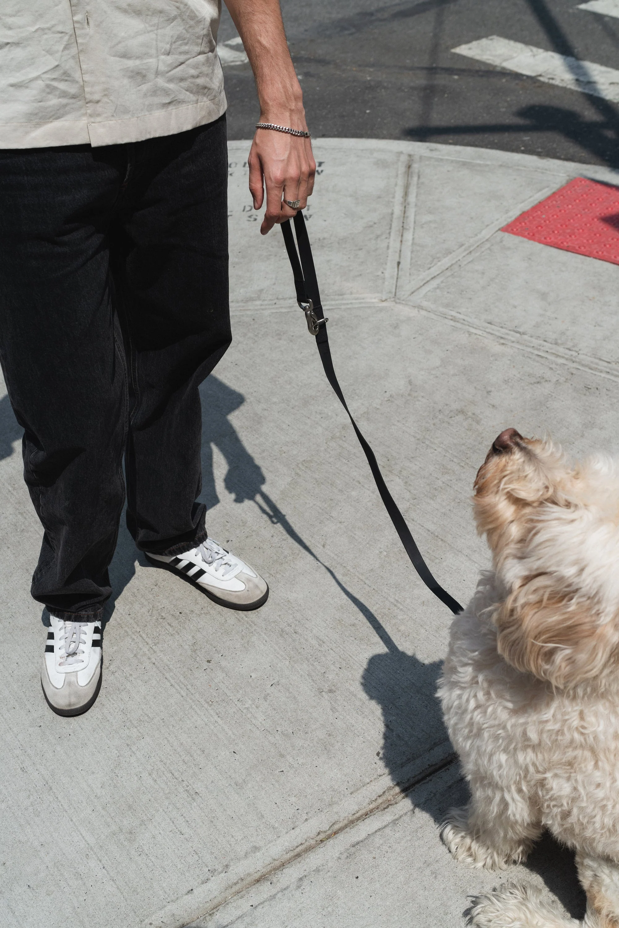 The City Dog Leash - Image 4