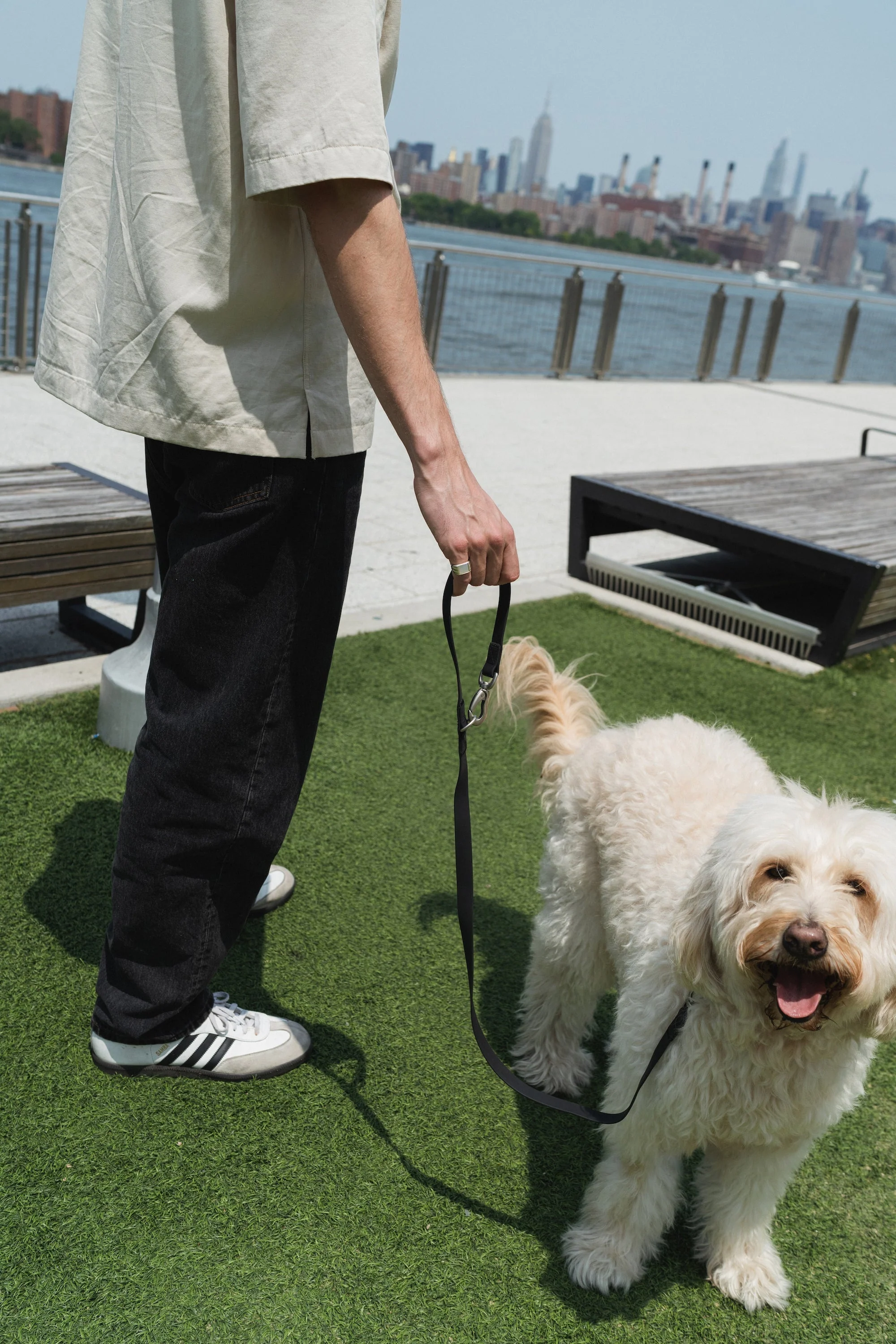 The City Dog Leash - Image 6