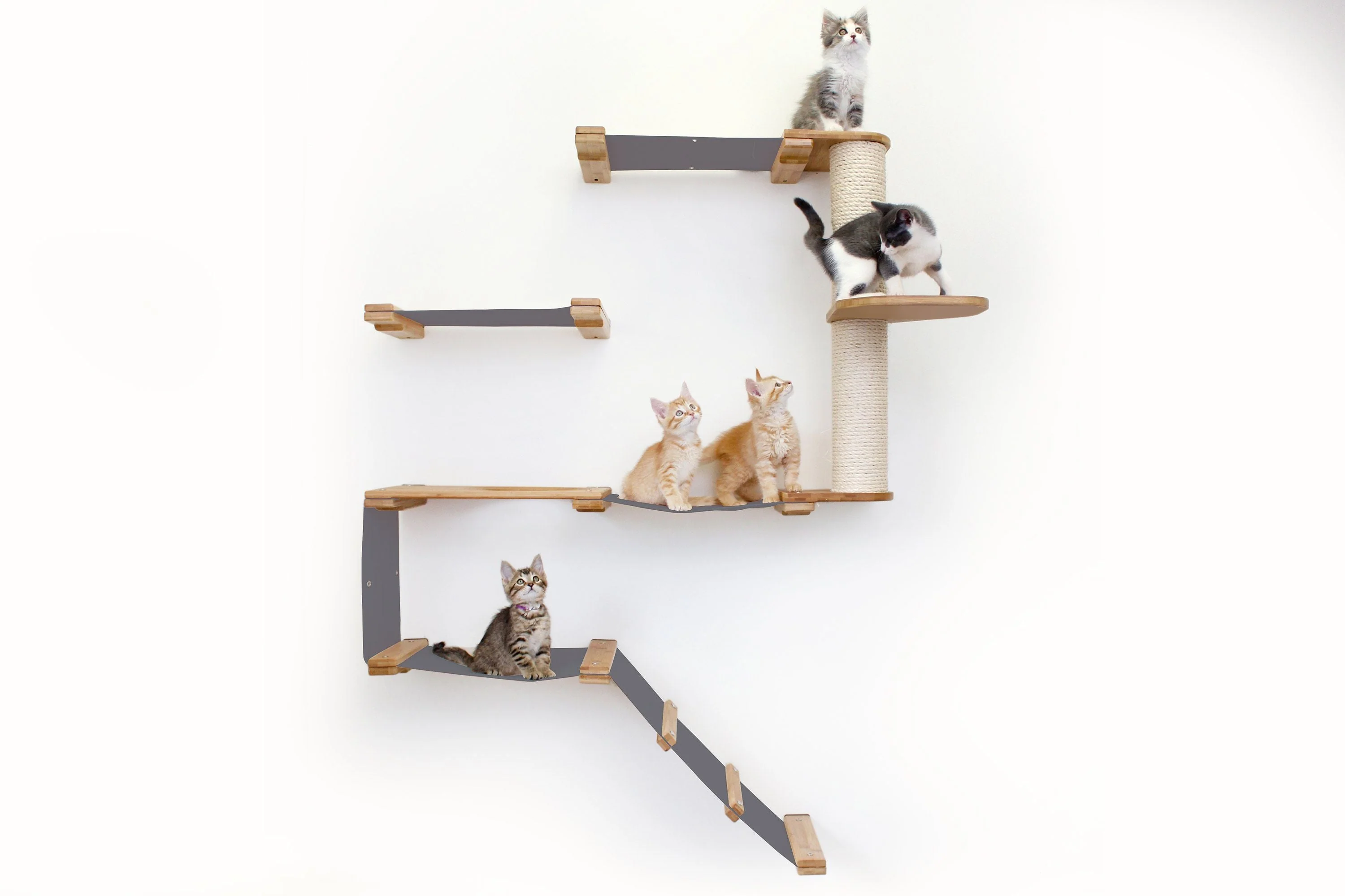 The Deluxe Cat Fort - Modern Cat Condo - Image 22